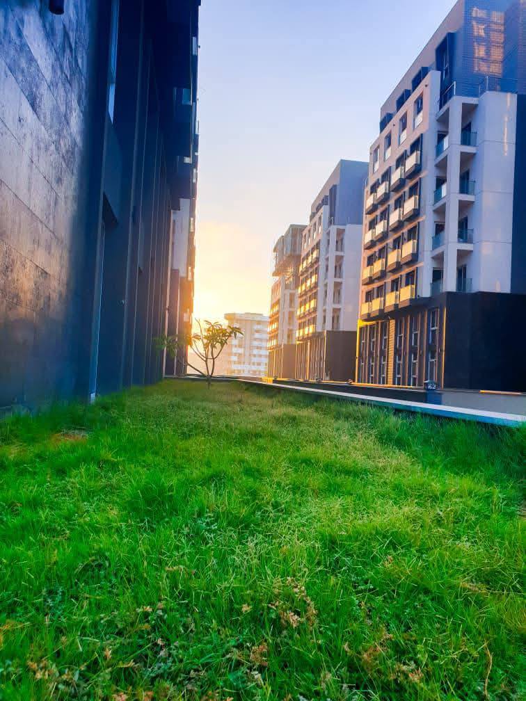 Park Lane  by El Attal – photo 6