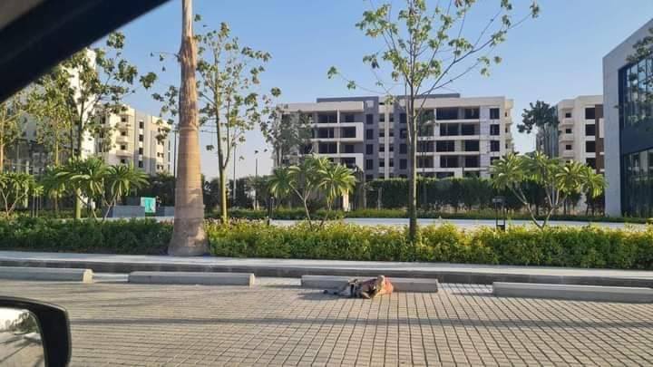 undefined by undefined