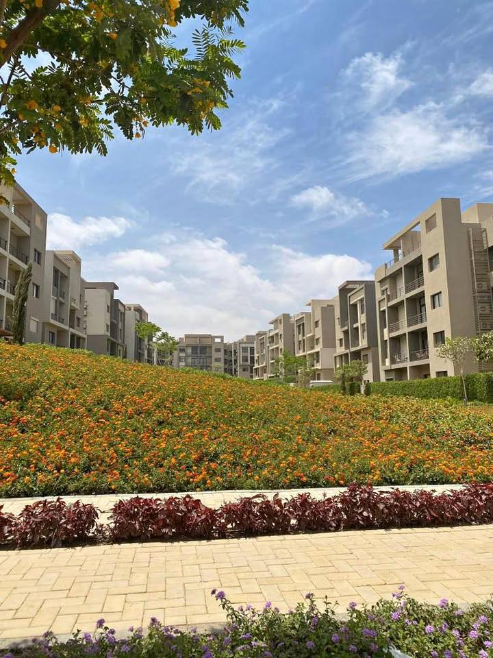 undefined by undefined