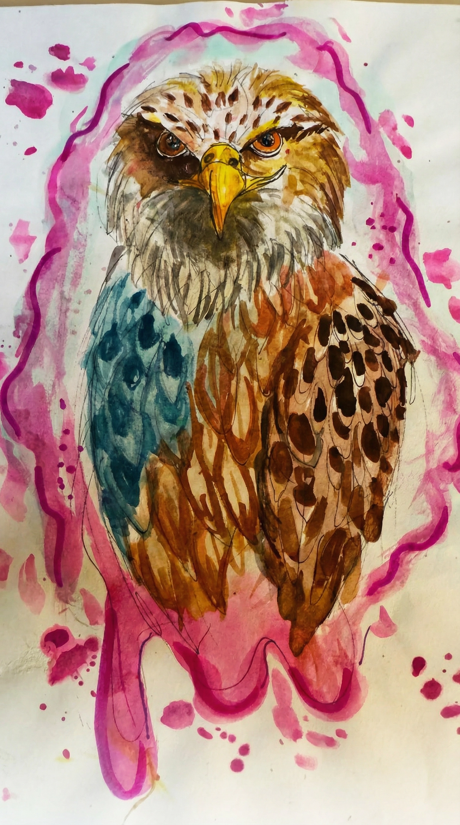 Pink Hawk