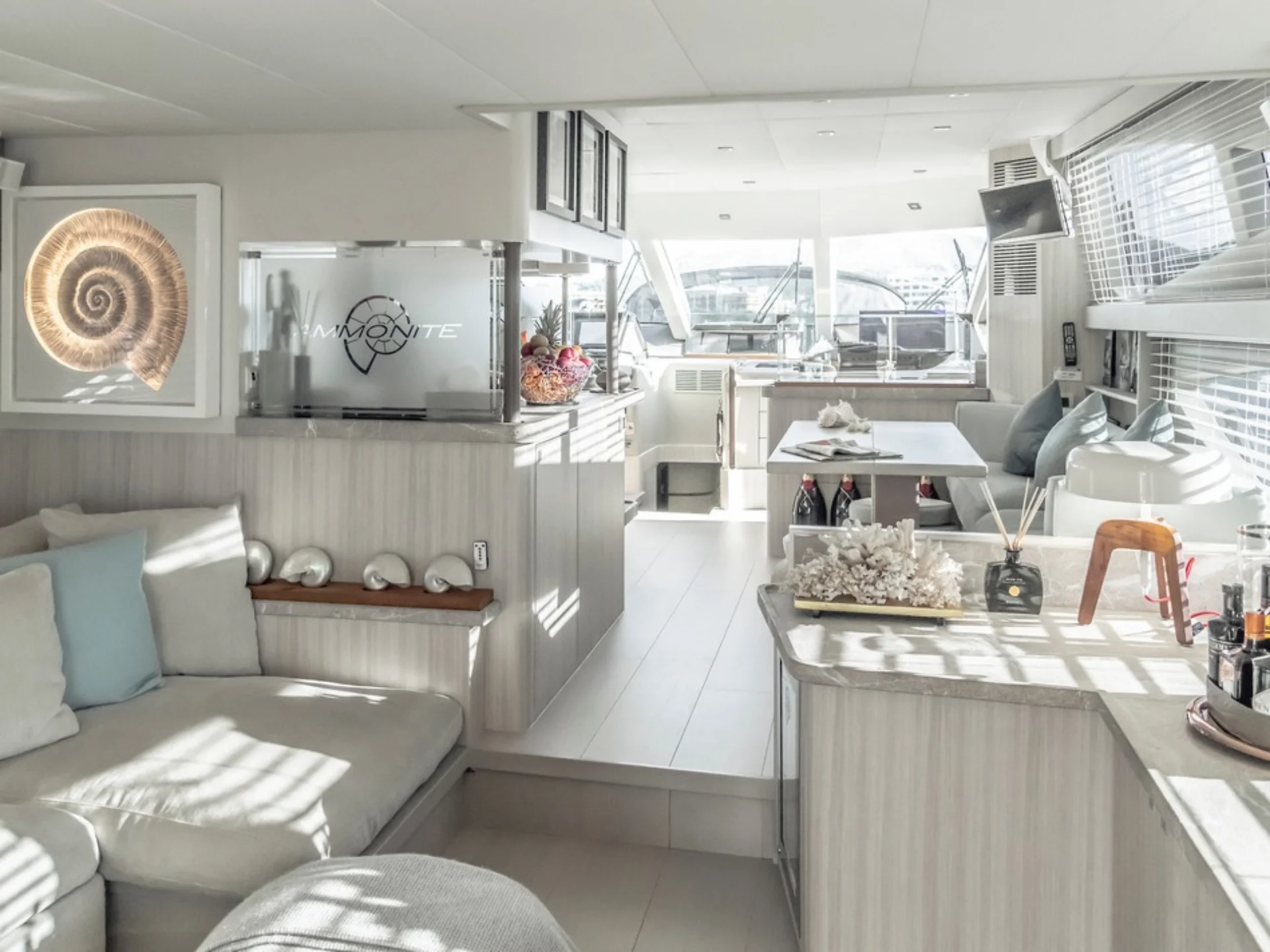 AMMONITE | Numarine 24M - Numarine