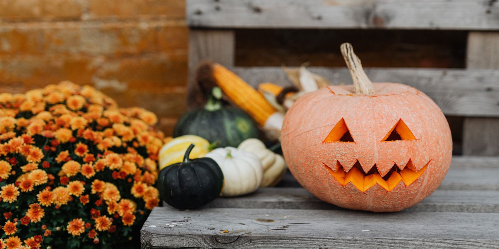 Halloween auf Mallorca: Wie die Insel feiert