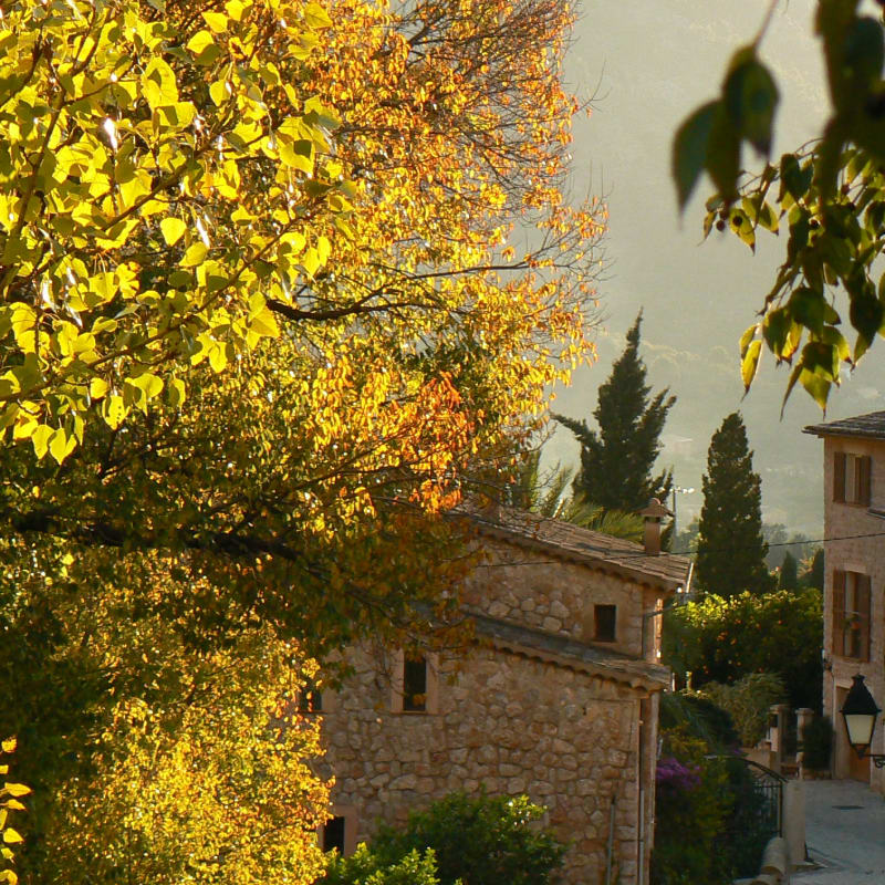 November auf Mallorca: Die verborgenen Freuden der stillen Jahreszeit