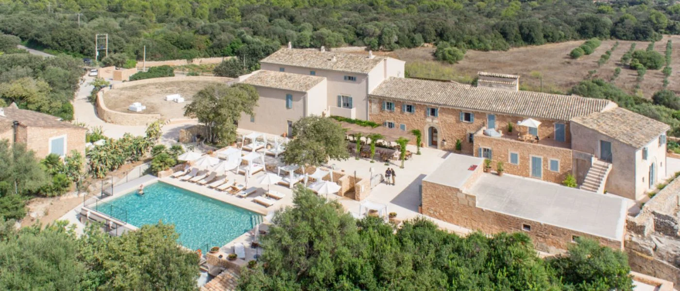 Mallorcas Vinskörd: En Insiderguide till de Bästa Bodegorna