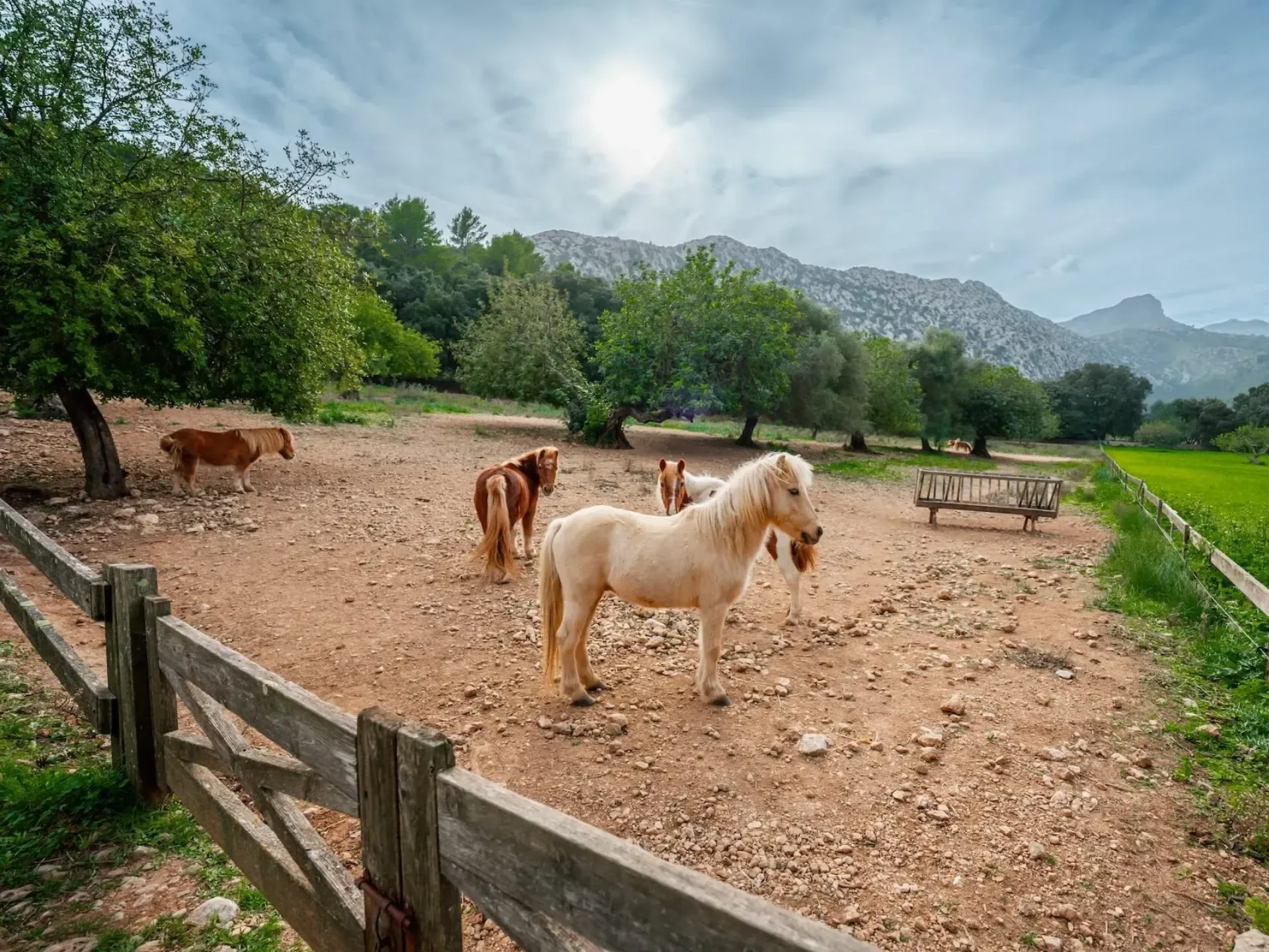 Almond Valley