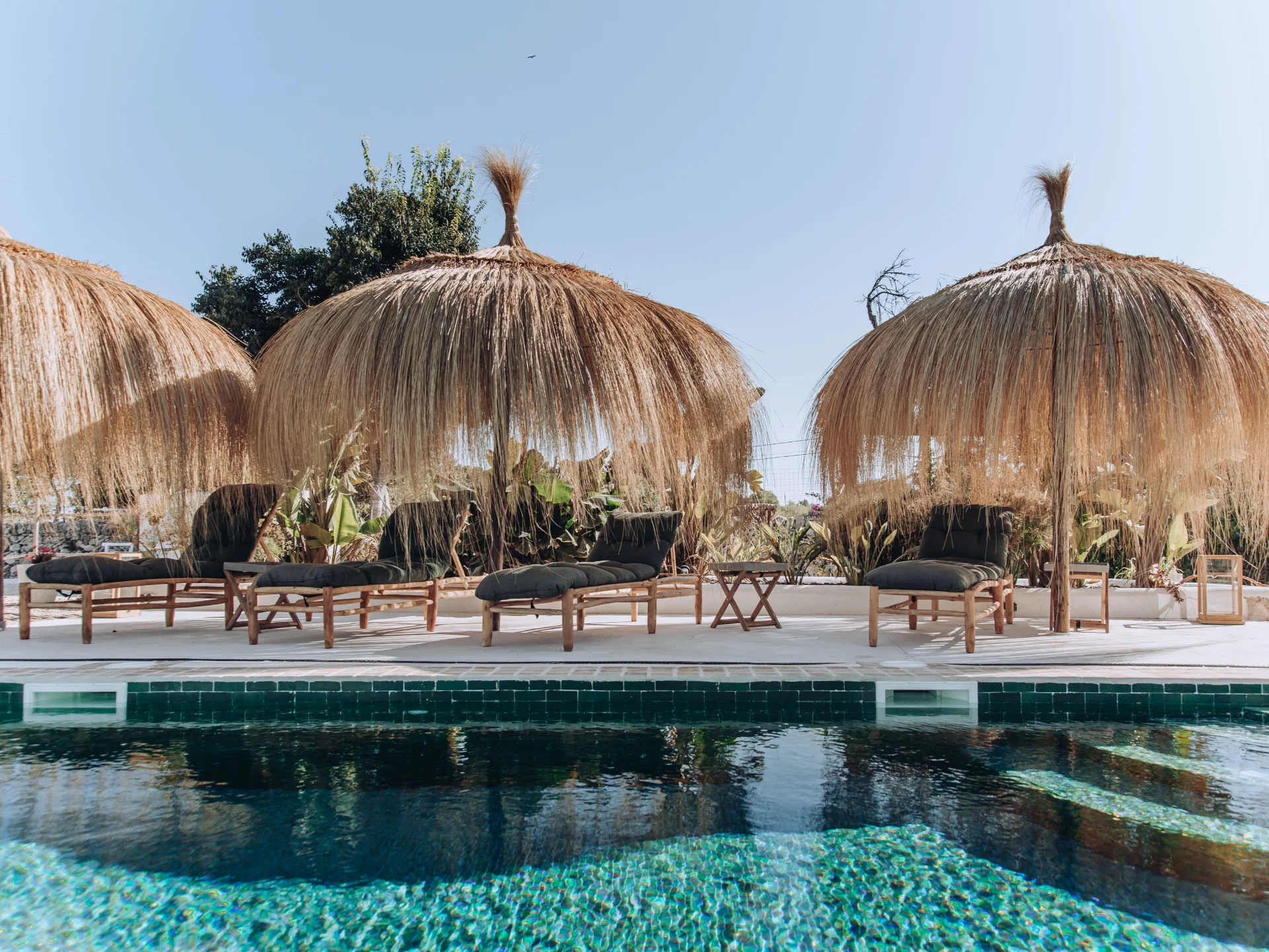 La Finca Only Summer