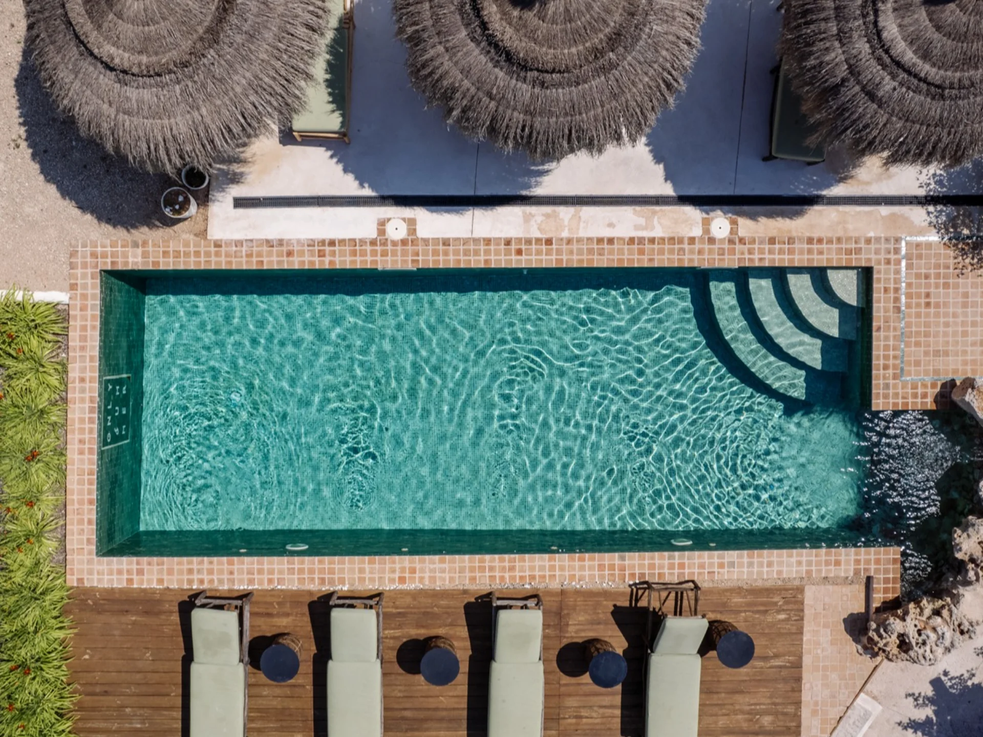 La Finca Only Summer