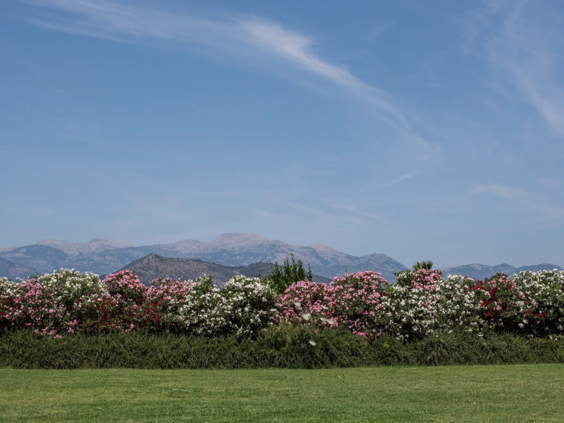 La Finca Only Summer