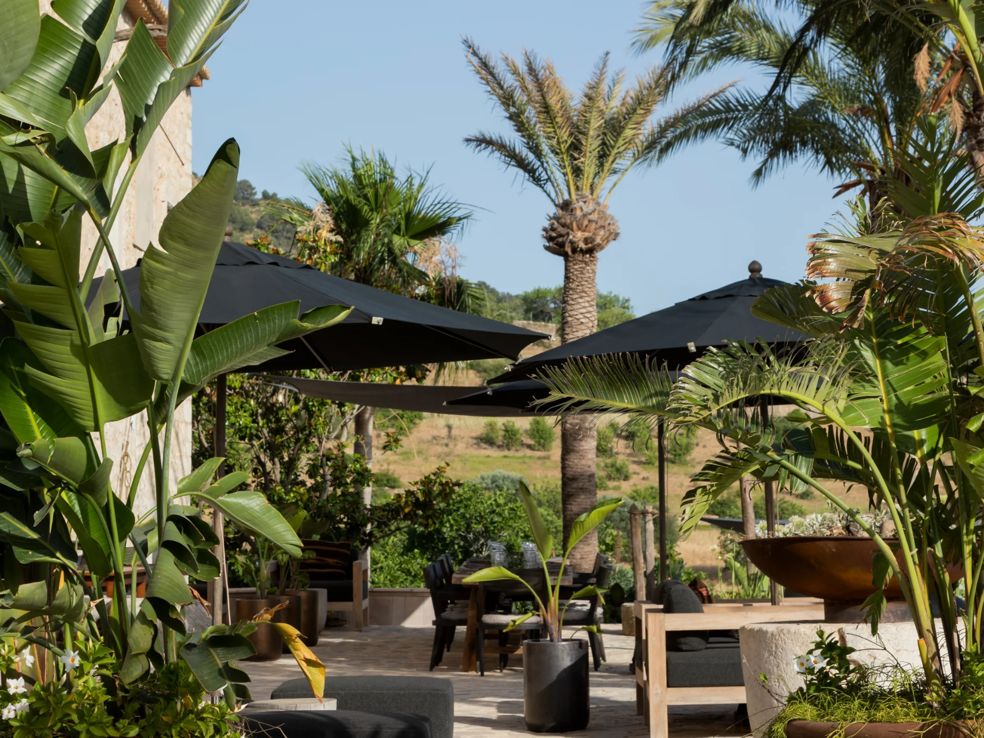 Spirit of Son Fuster