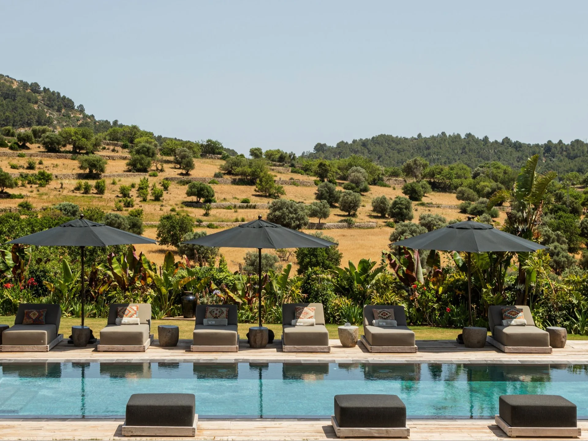 Spirit of Son Fuster