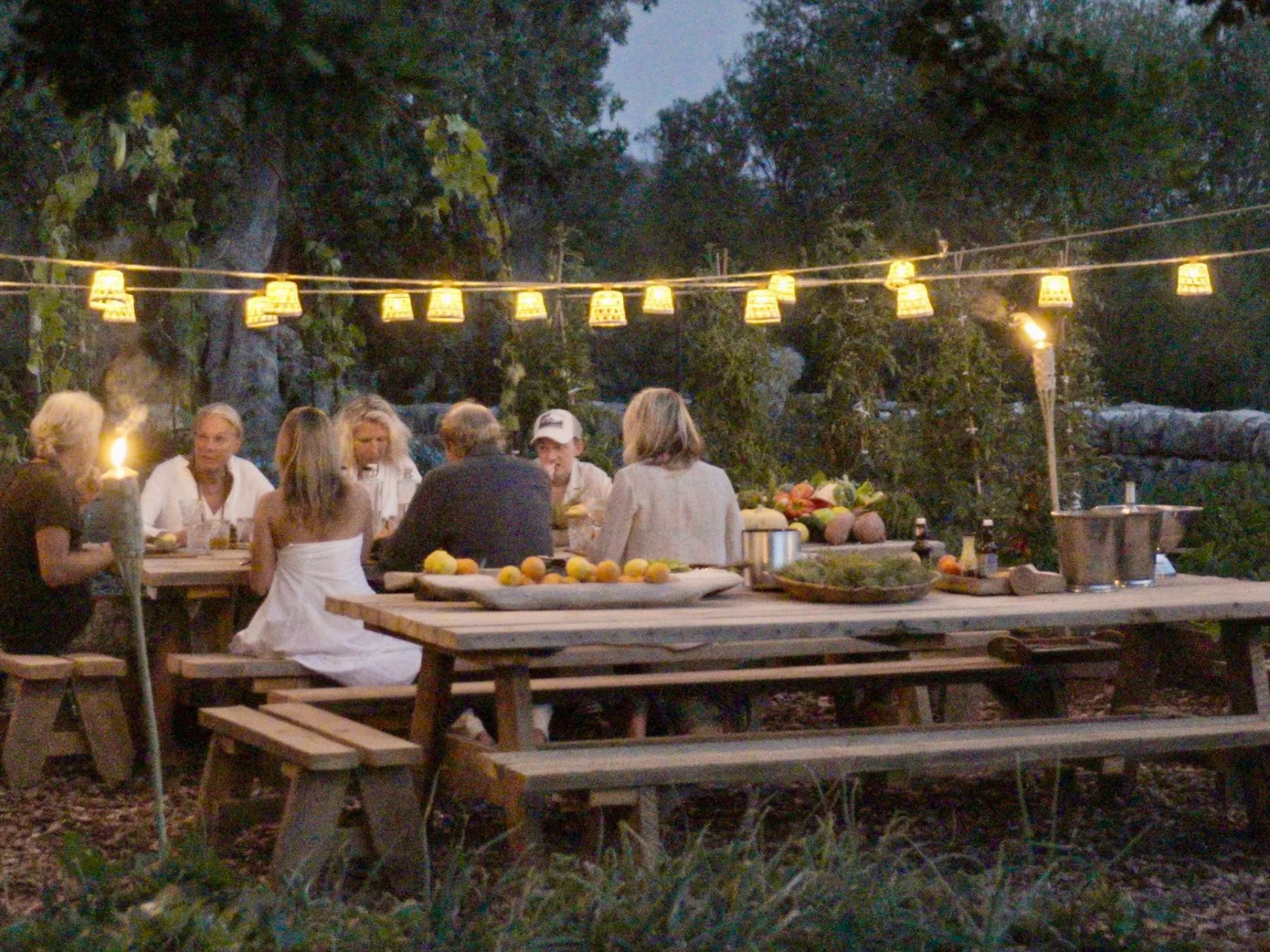 Spirit of Son Fuster