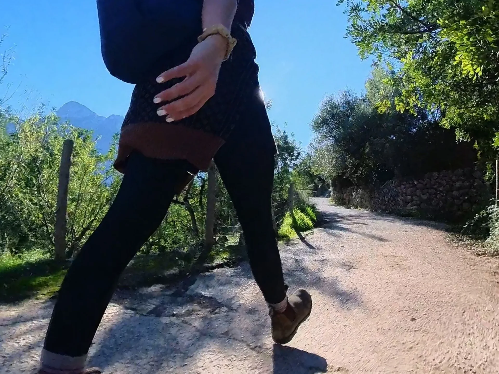 Spirit of Son Fuster