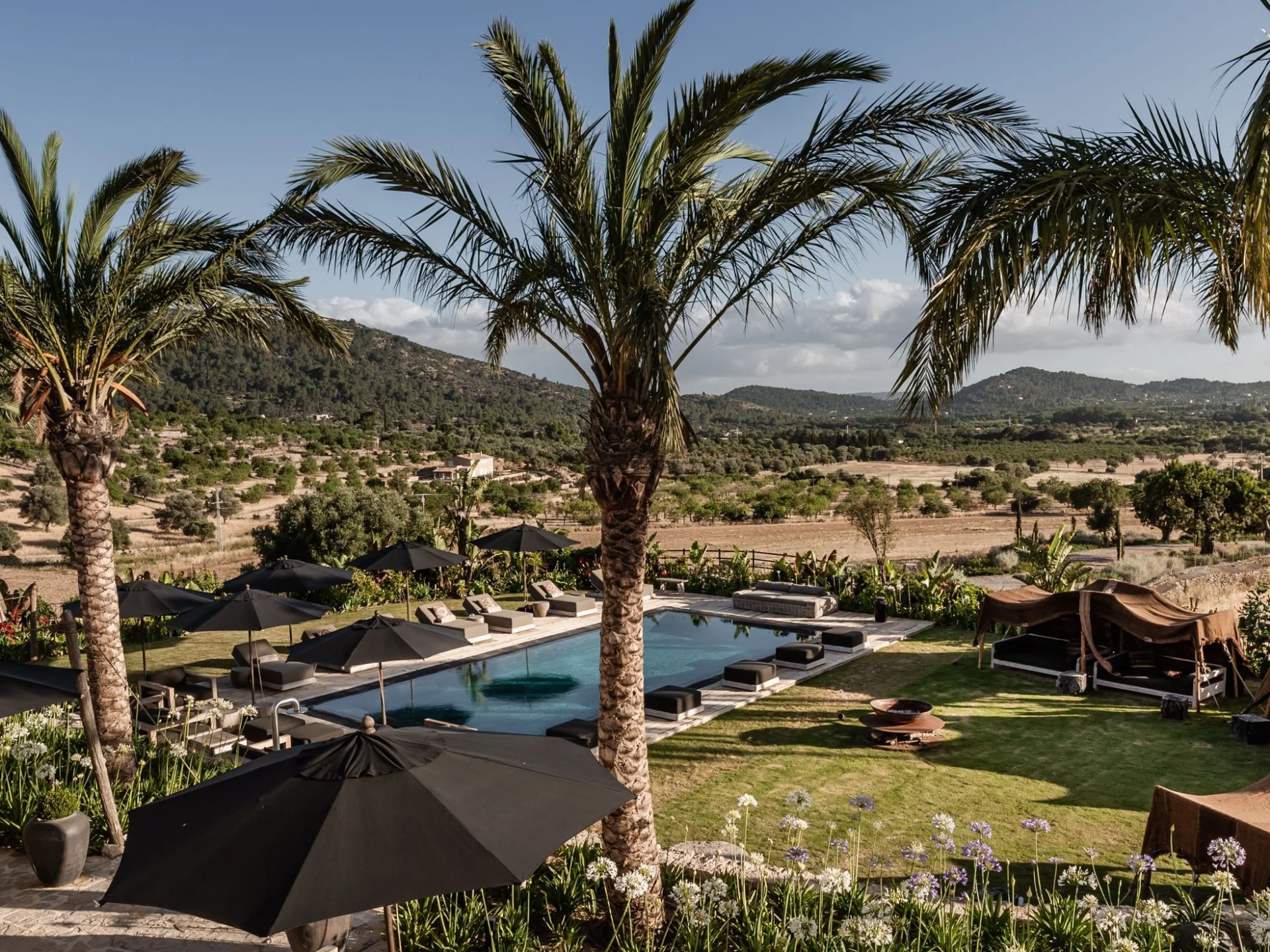 Spirit of Son Fuster