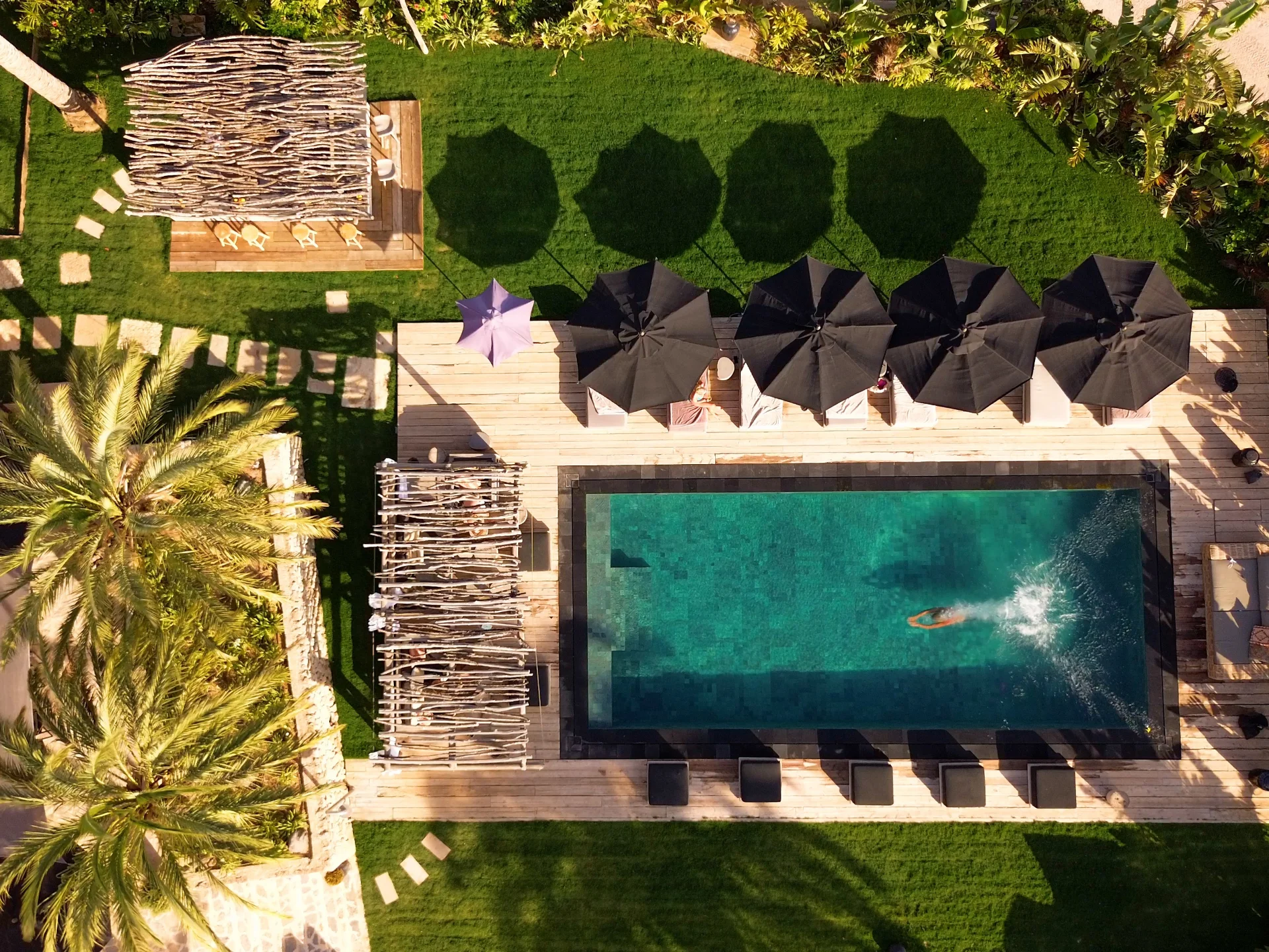 Spirit of Son Fuster