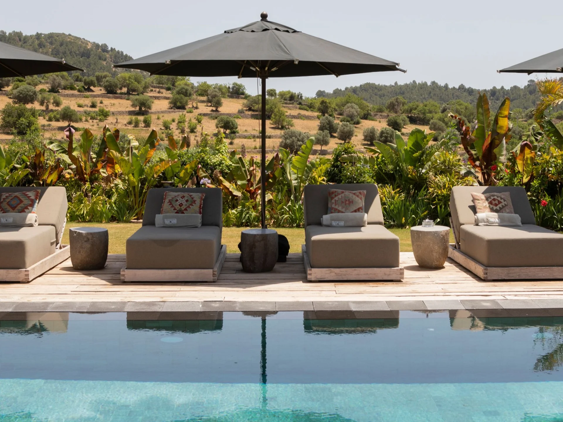 Spirit of Son Fuster