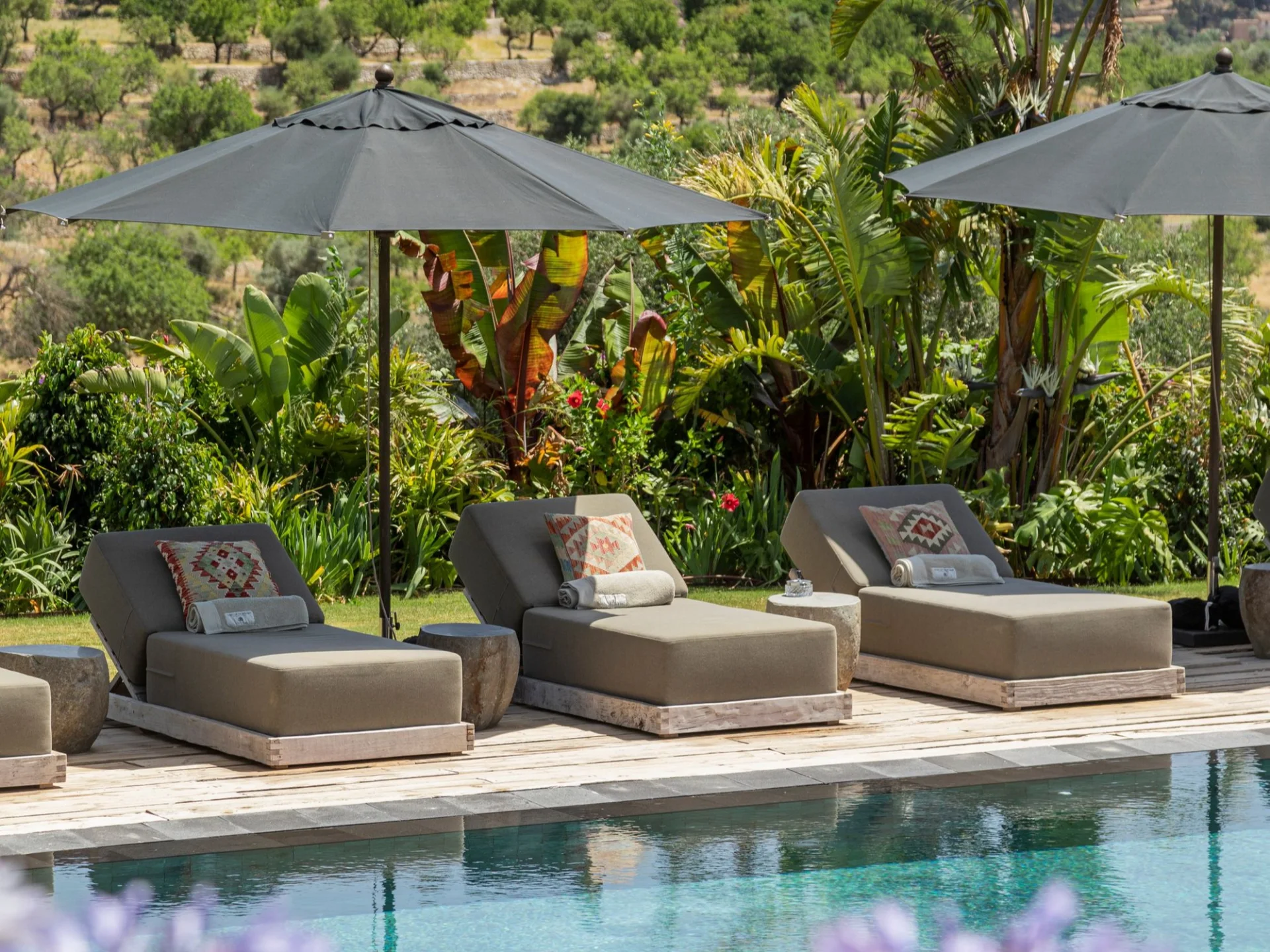 Spirit of Son Fuster