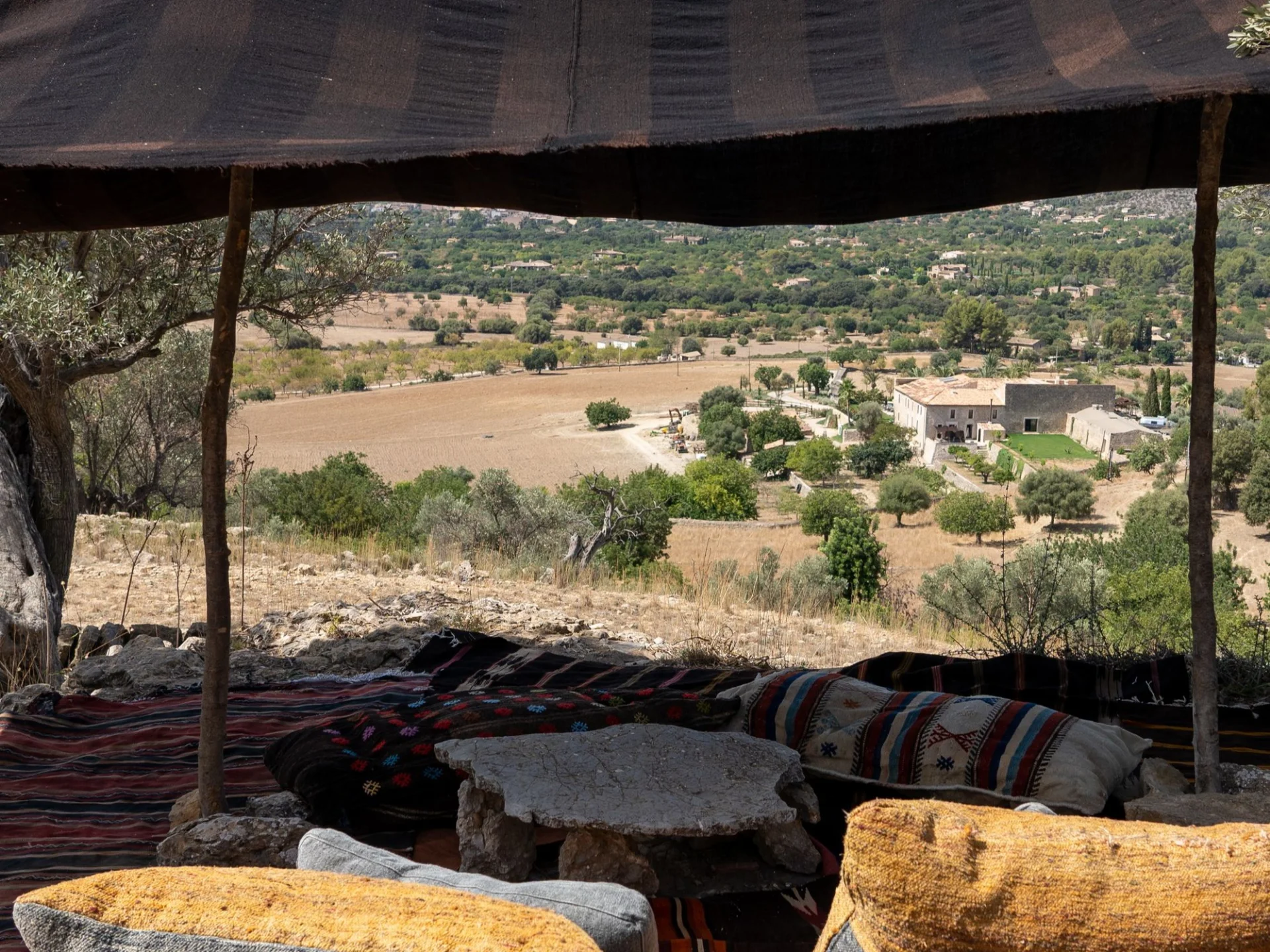 Spirit of Son Fuster