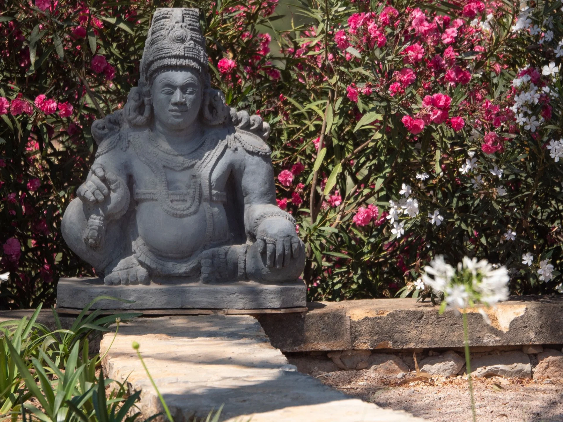 Spirit of Son Fuster