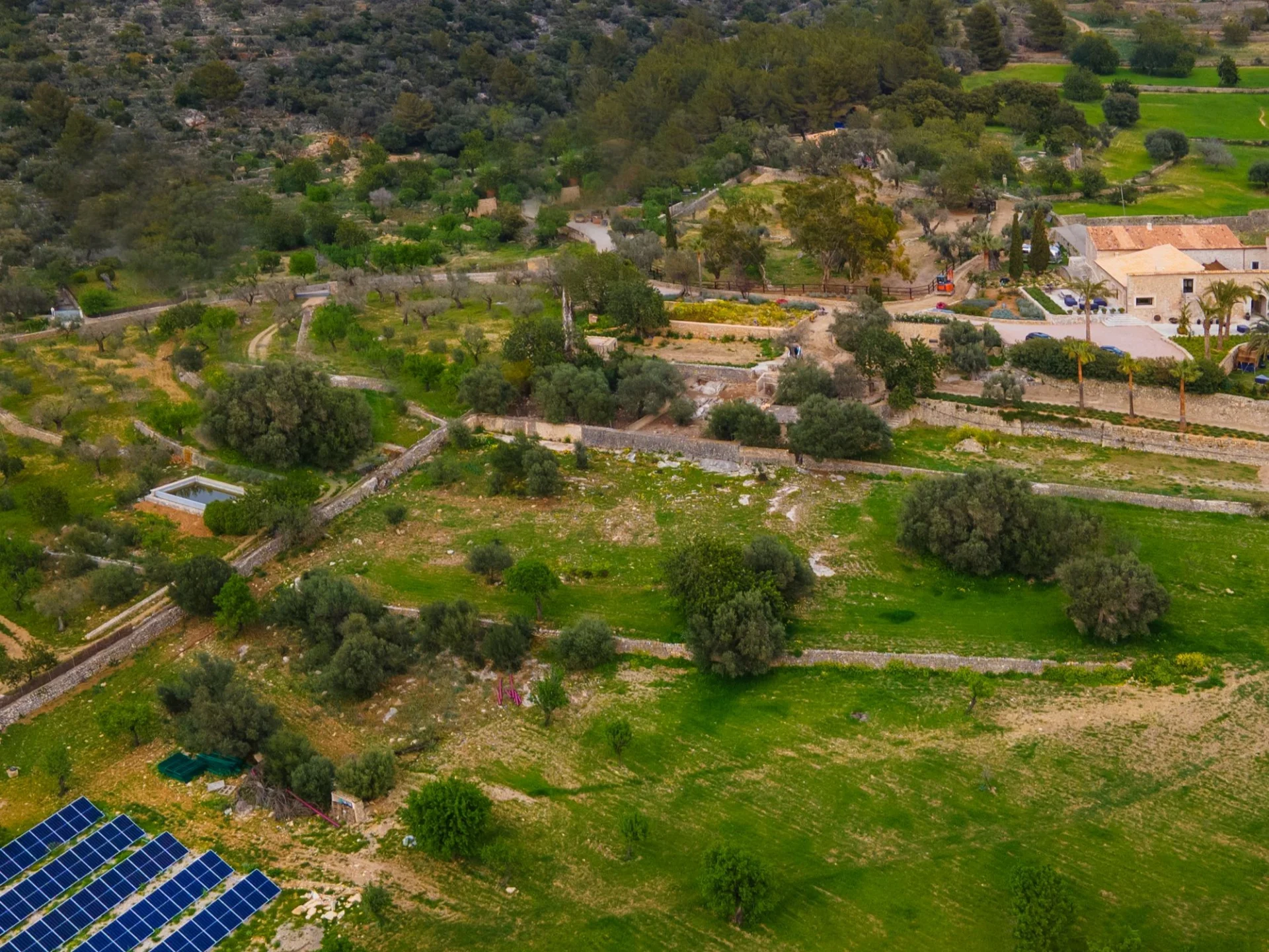 Spirit of Son Fuster