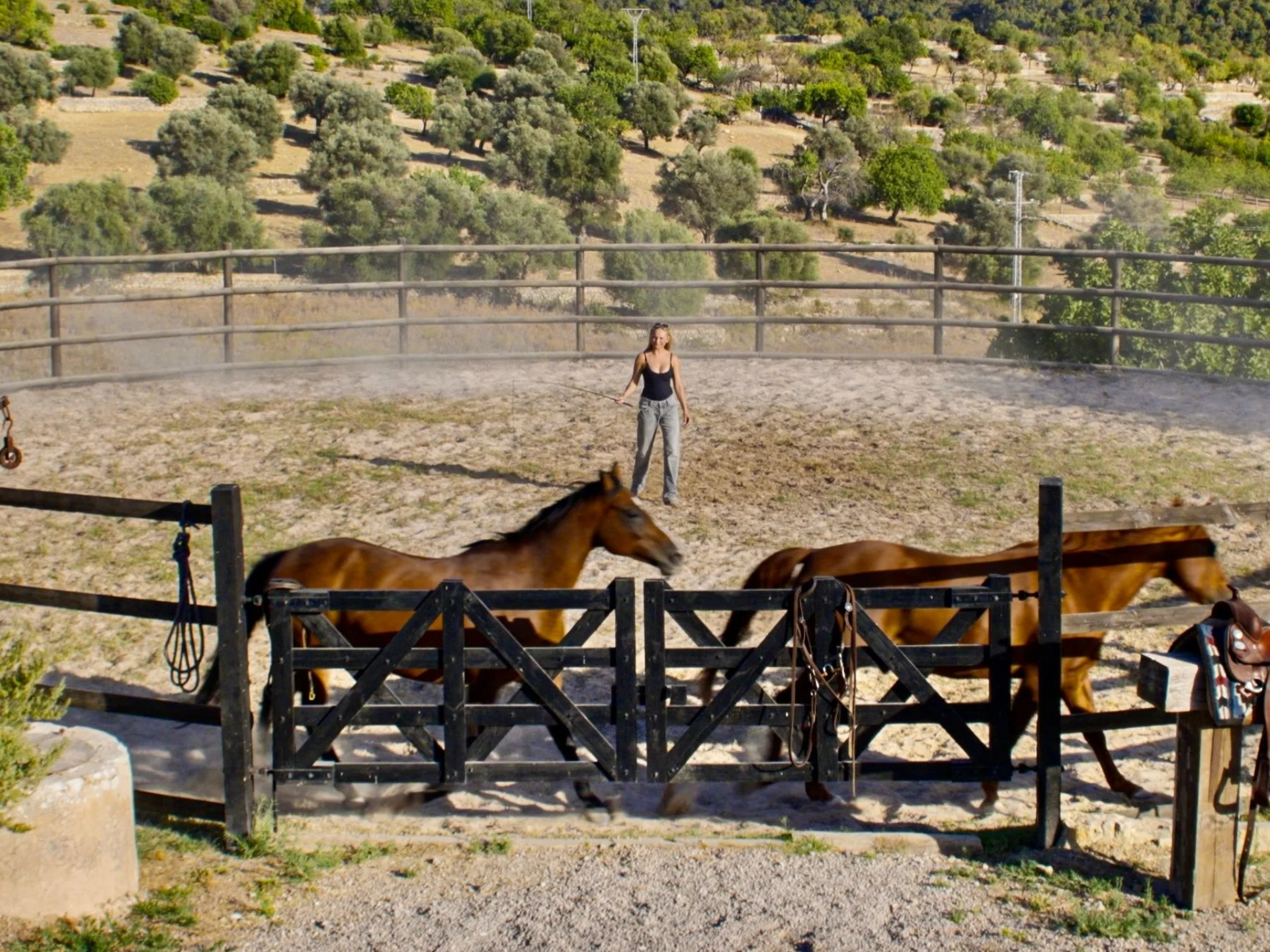 Spirit of Son Fuster