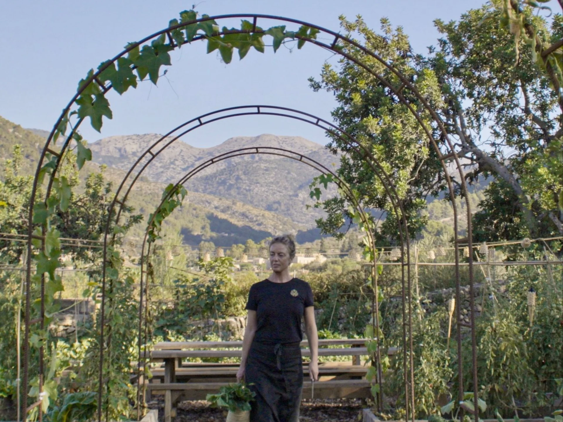 Spirit of Son Fuster