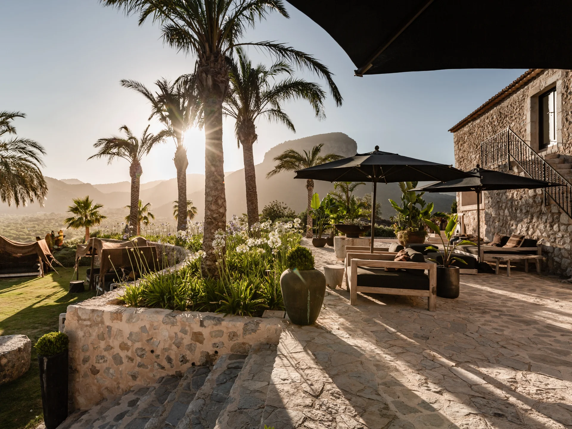 Spirit of Son Fuster