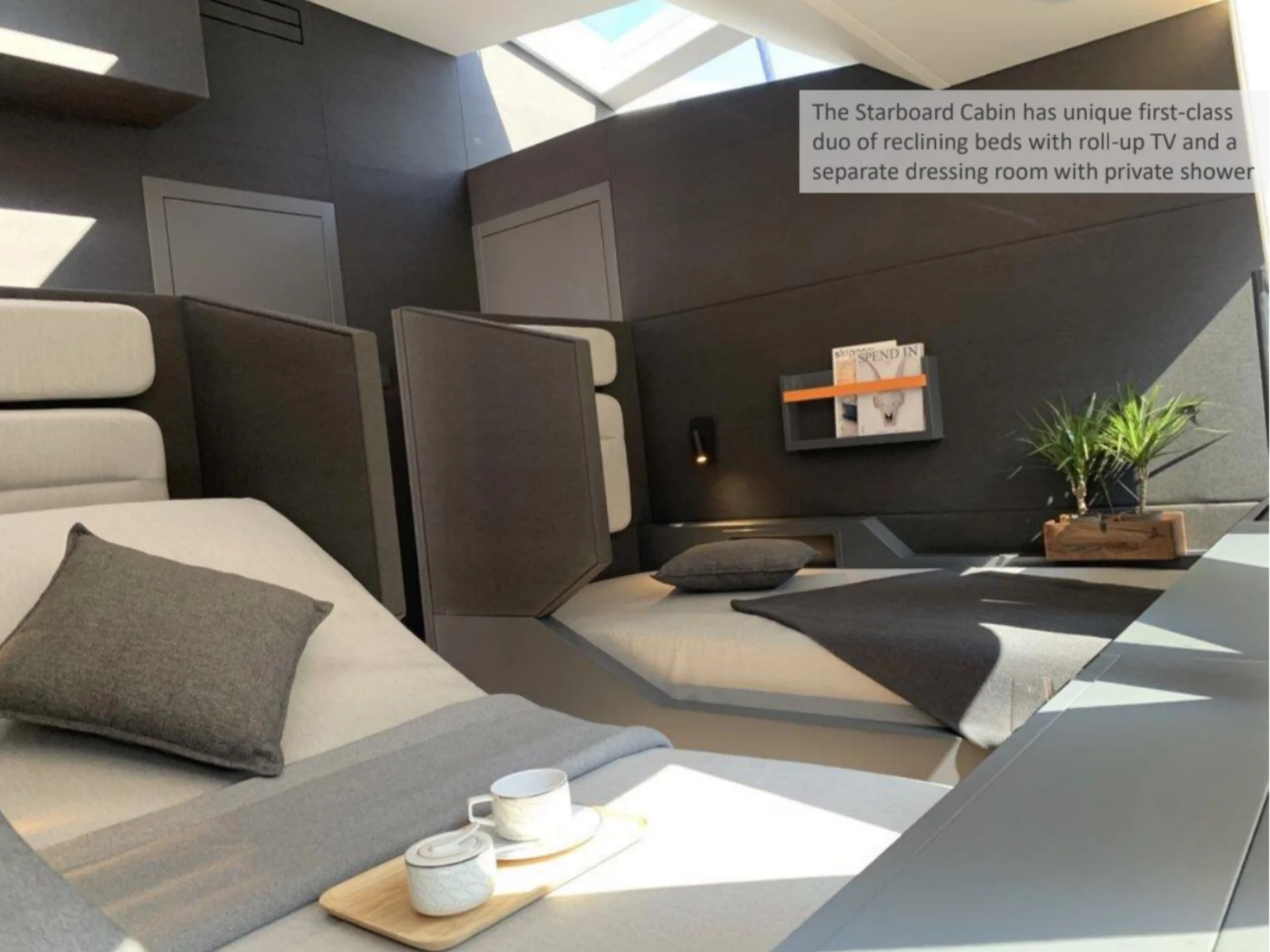 HANSTAIGER X1 - Hanstaiger