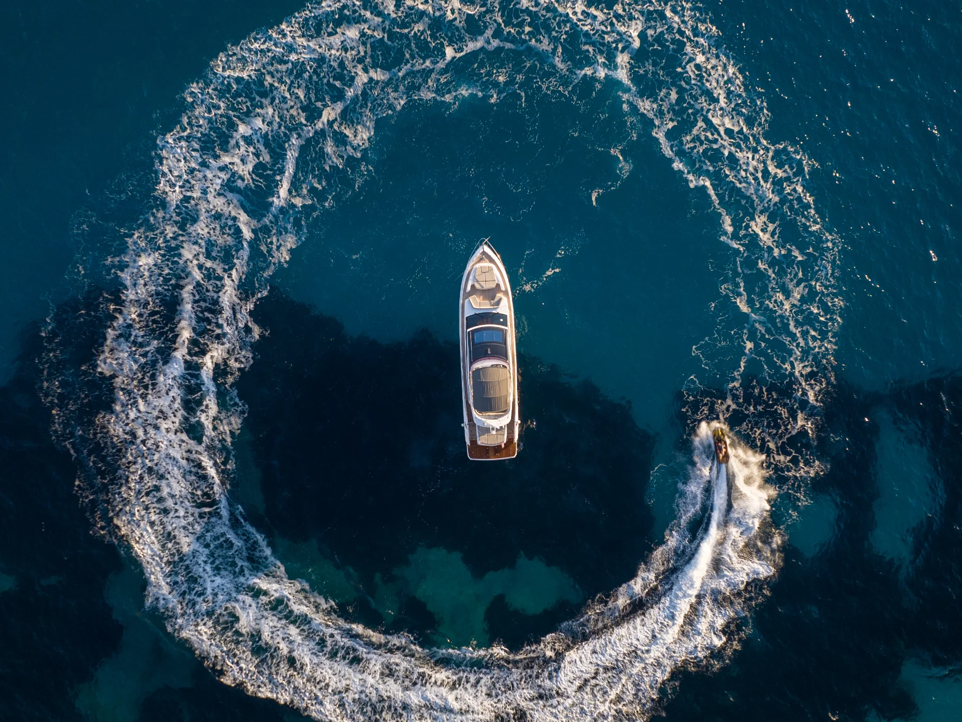 THE NEGOTIATOR | Princess S66 - Princess