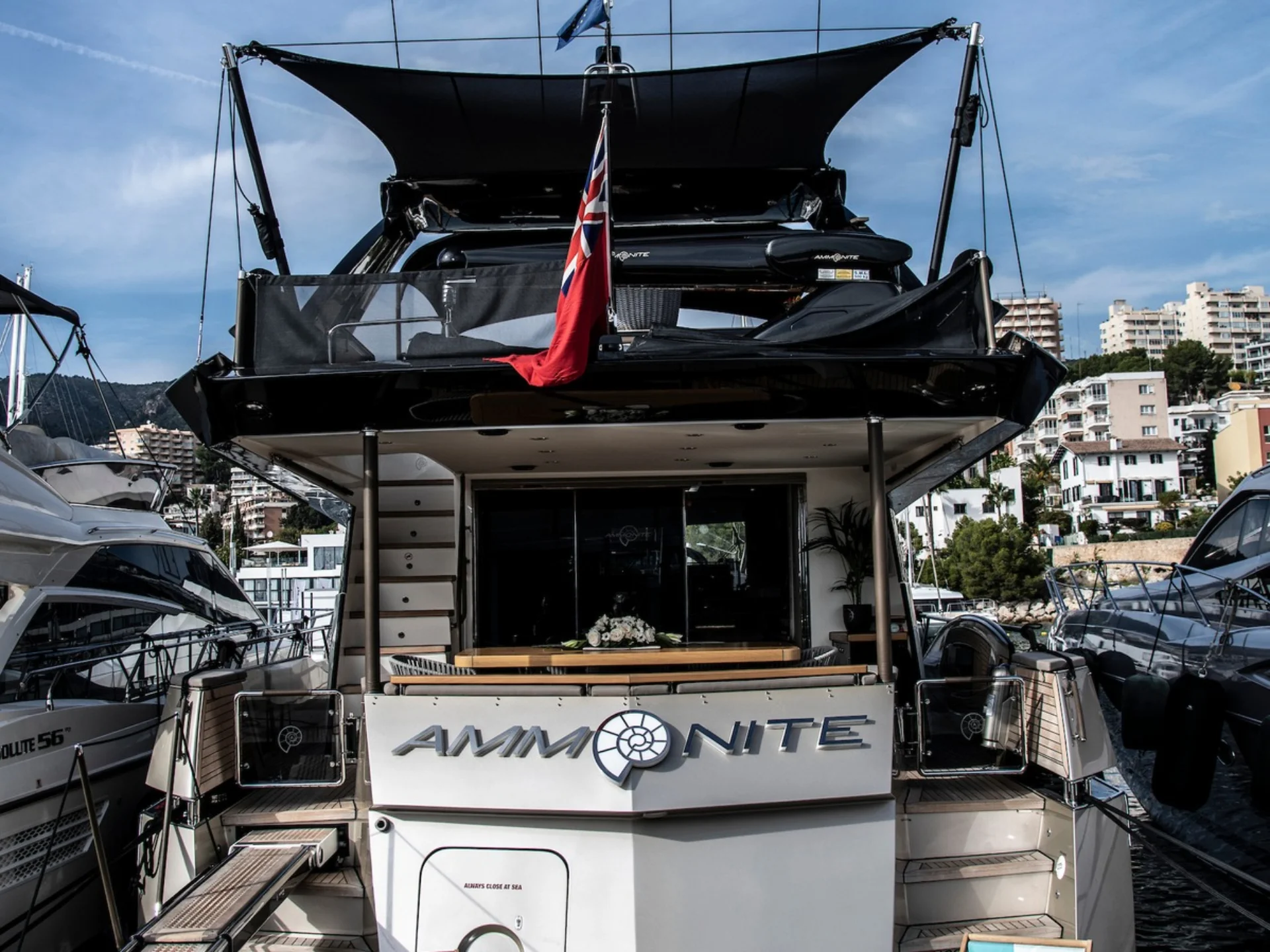 AMMONITE | Numarine 24M - Numarine