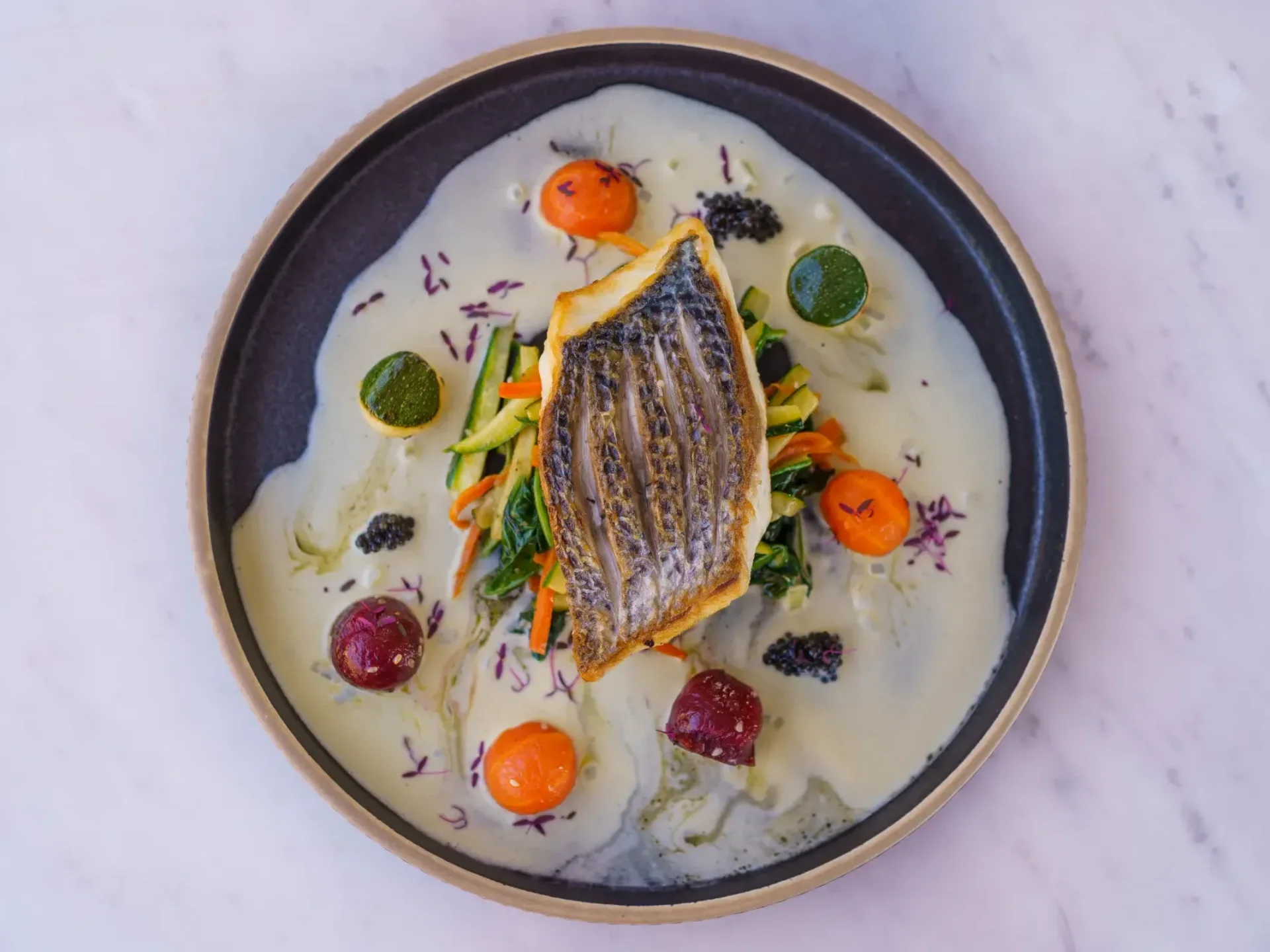 ETERNAL SPARK | Bilgin 163 - Bilgin