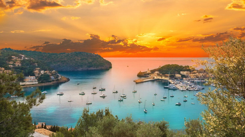 Aerial view of Port San Antonio harbour and marina at sunset, Ibiza