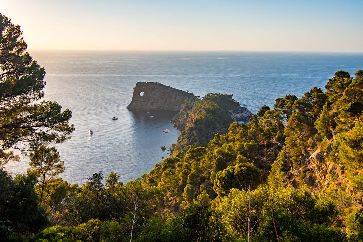 West Coast Day Charter gallery 2