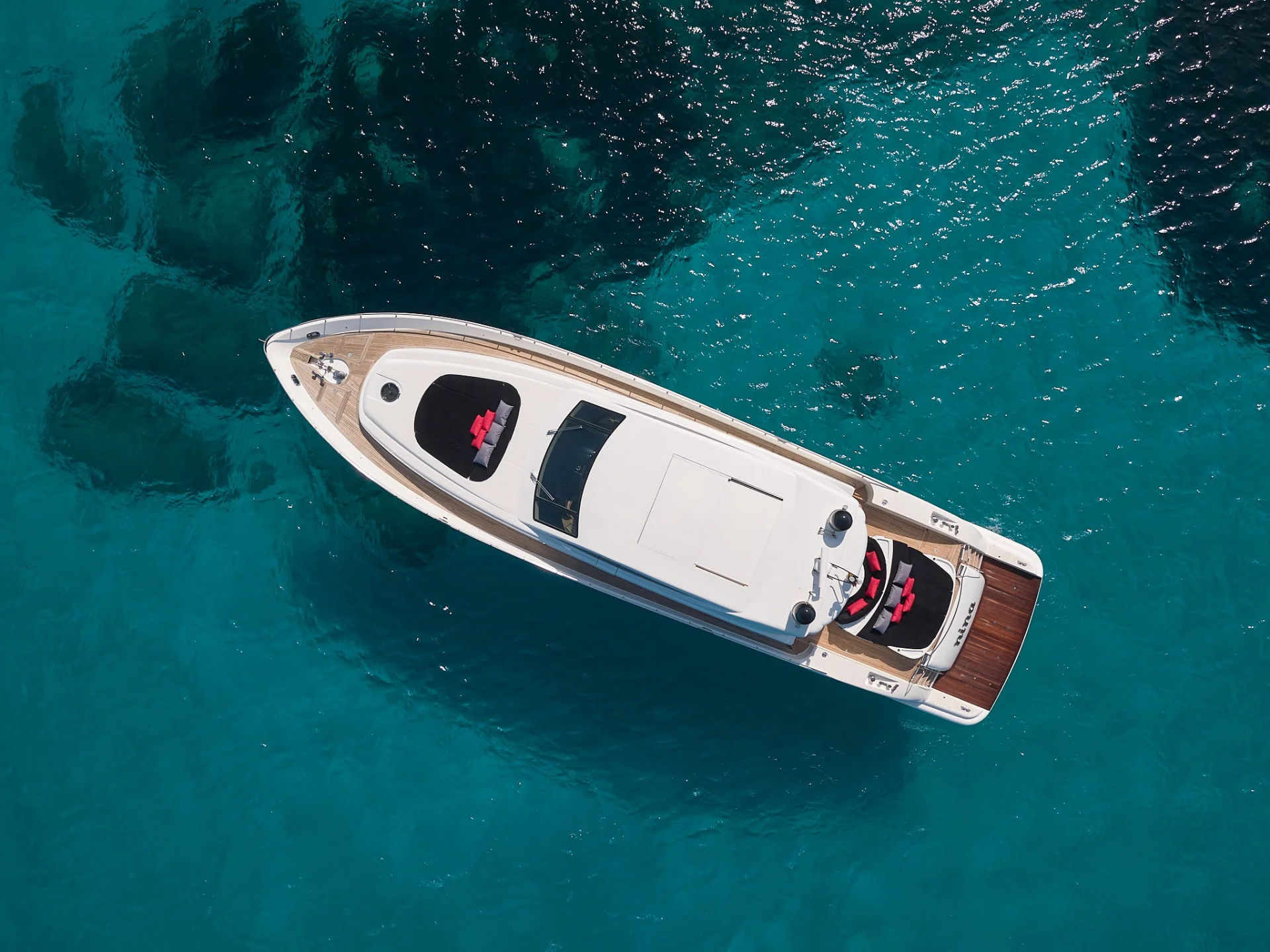 NINA | Alfamarine 78 - Alfamarine