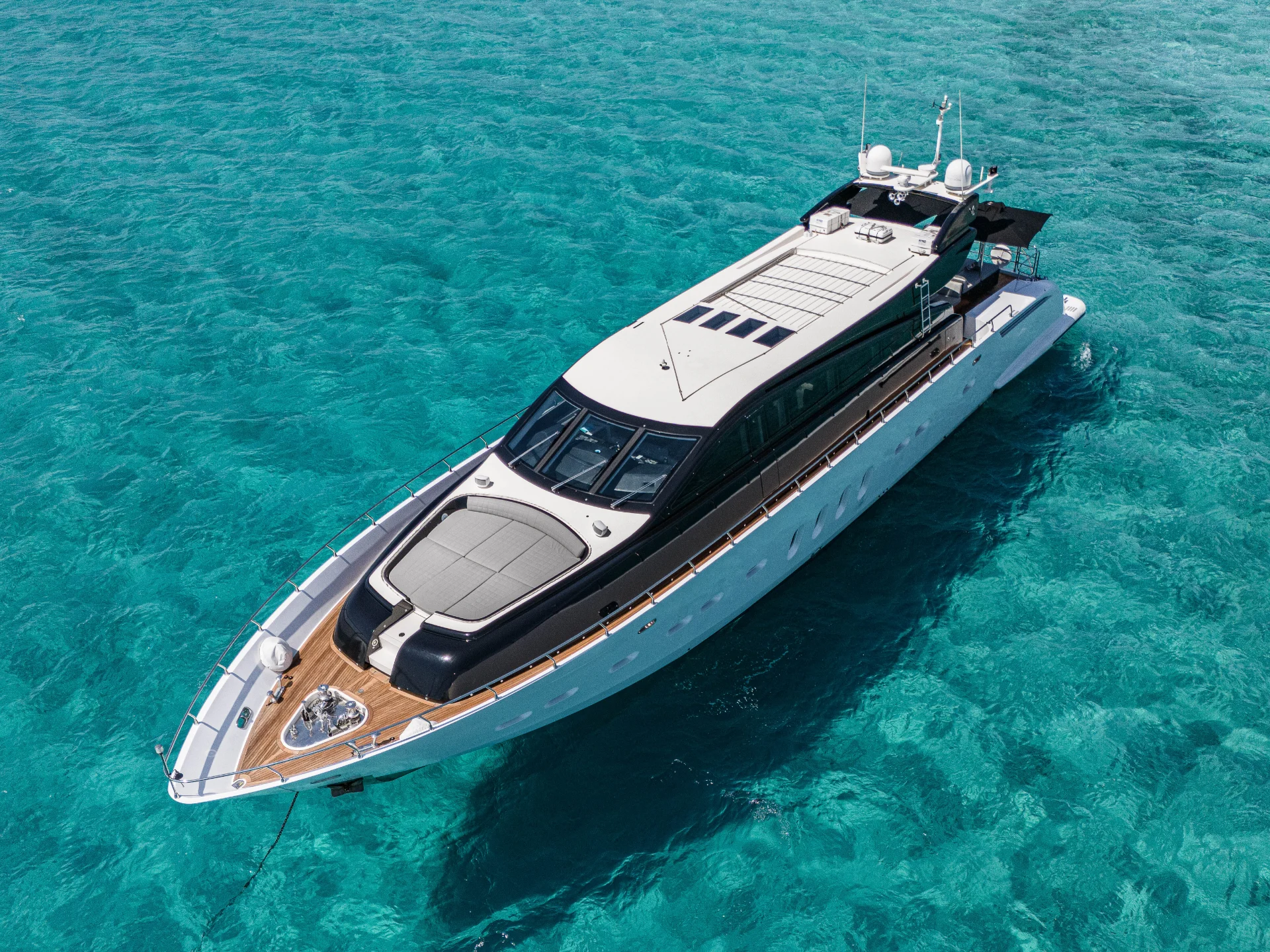 LA ROMANA | Leopard 102 - Leopard