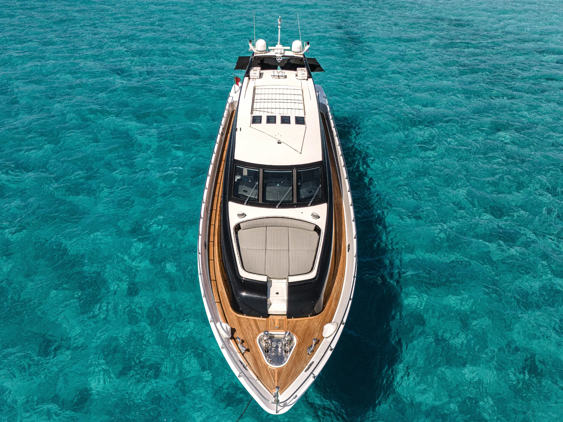 LA ROMANA | Leopard 102 - Leopard