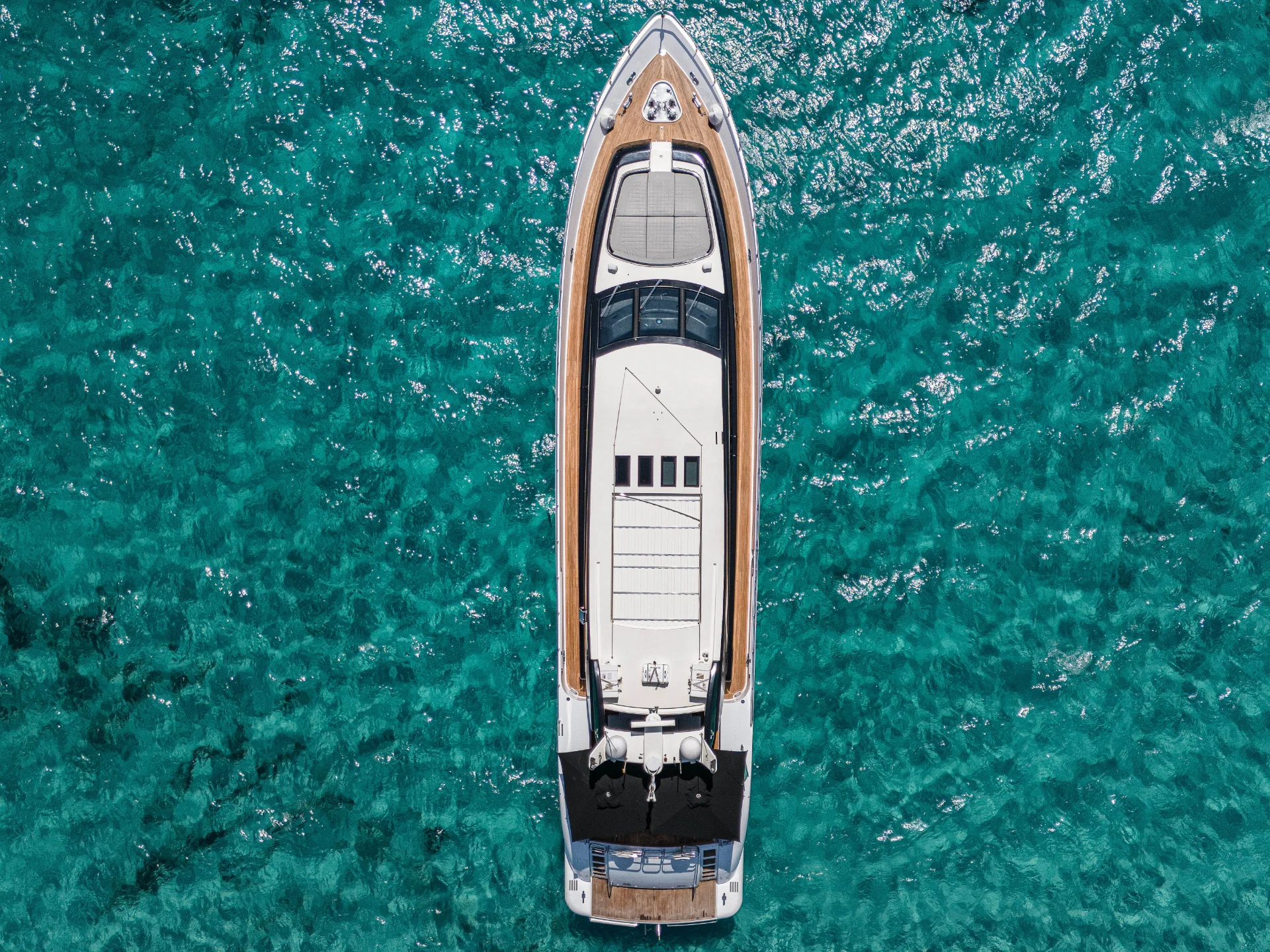 LA ROMANA | Leopard 102 - Leopard