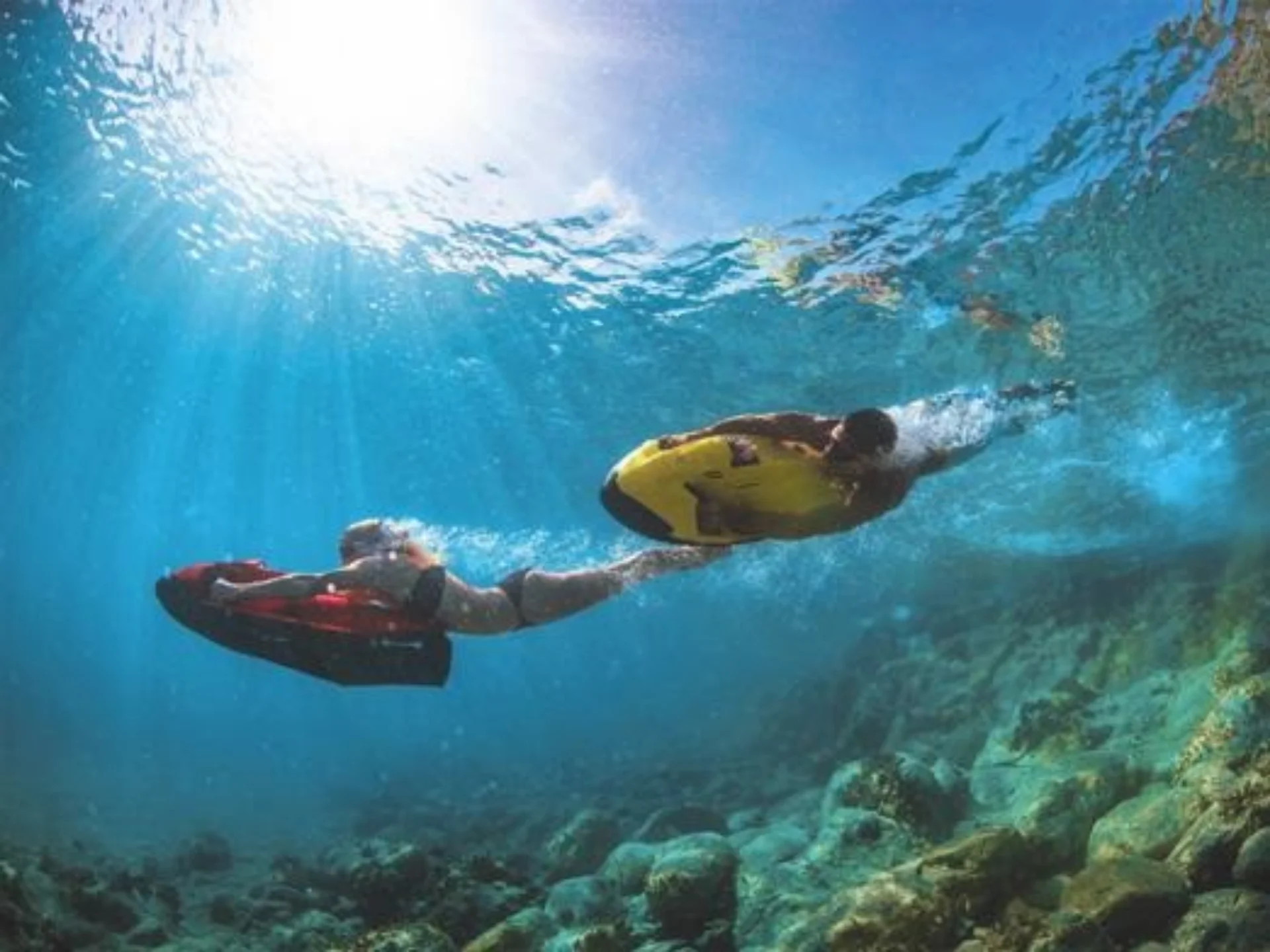 LEX | Maiora 24S - Maiora