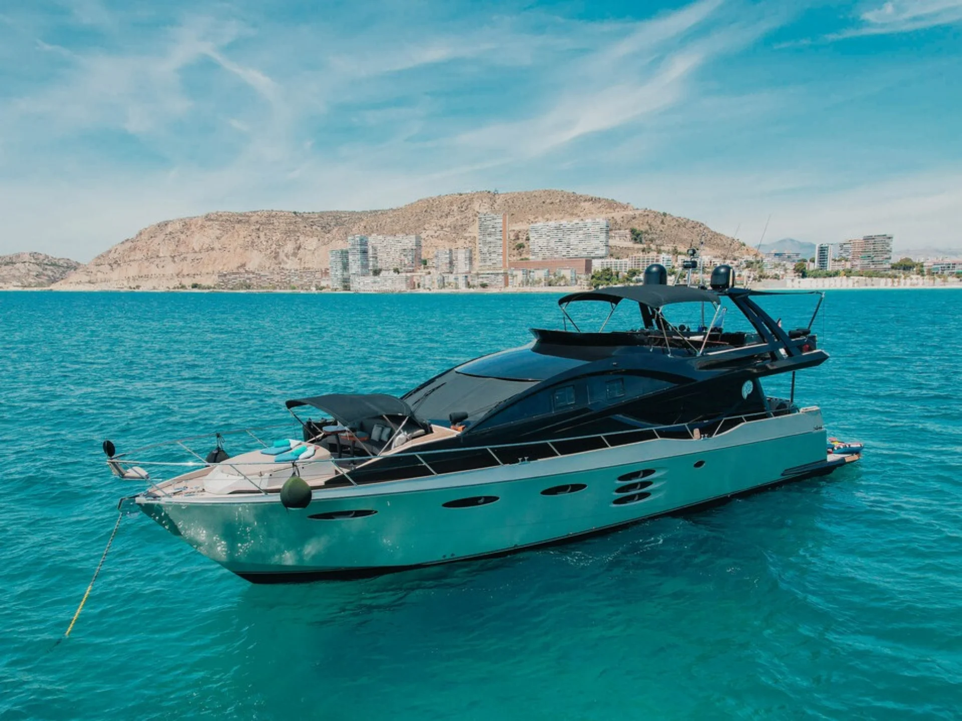 AMMONITE | Numarine 24M