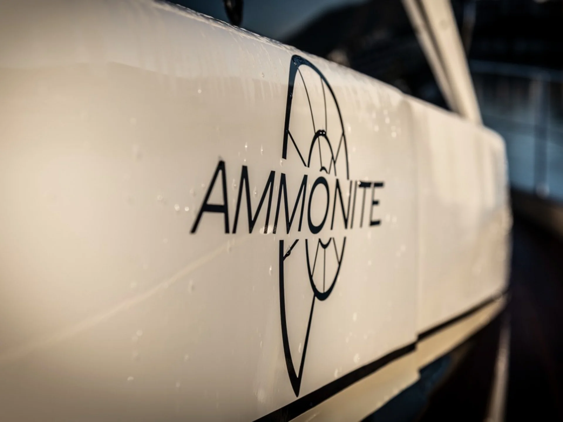 AMMONITE | Numarine 24M - Numarine
