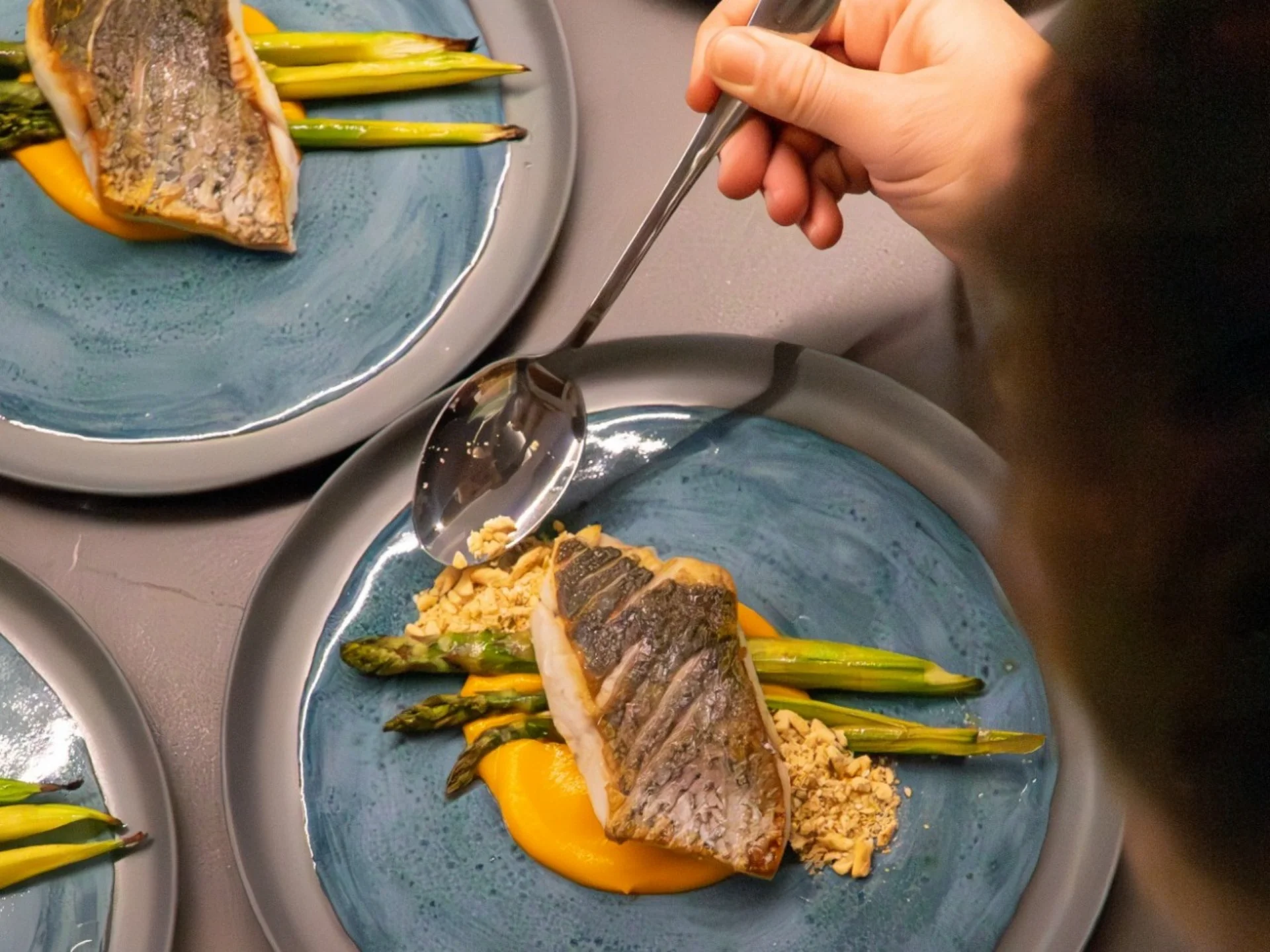 ETERNAL SPARK | Bilgin 163 - Bilgin