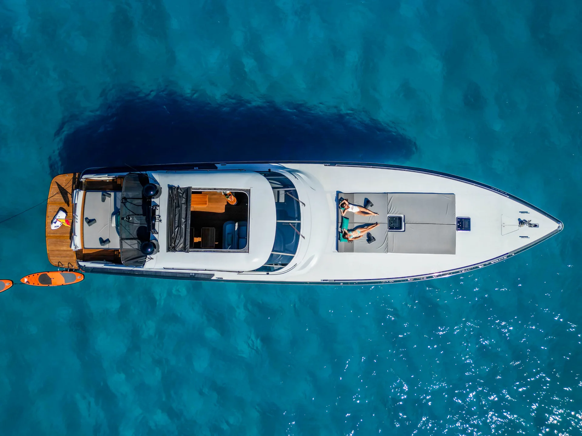 SHADY | Baia Panther 80 - Baia