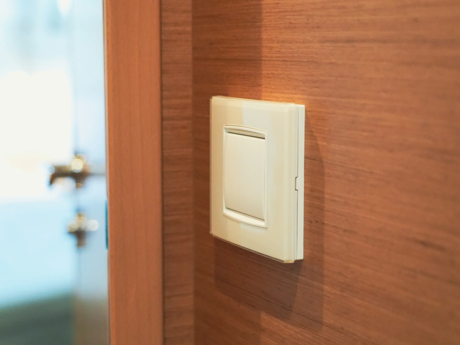 AVATAR | Excess 15 Catamaran - Other