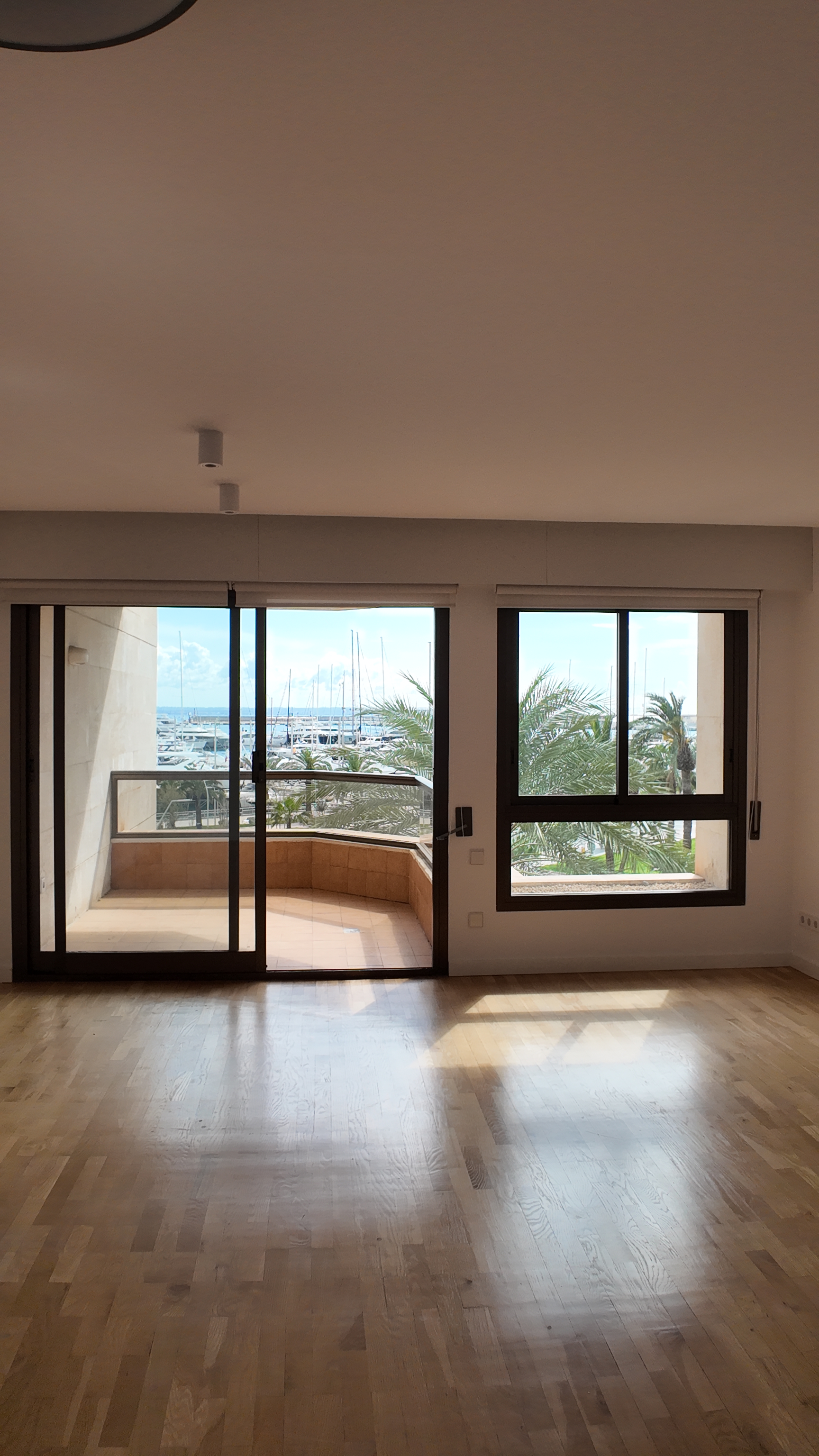 Sea view apartment in Paseo Marítimo with pool  - Photo 4