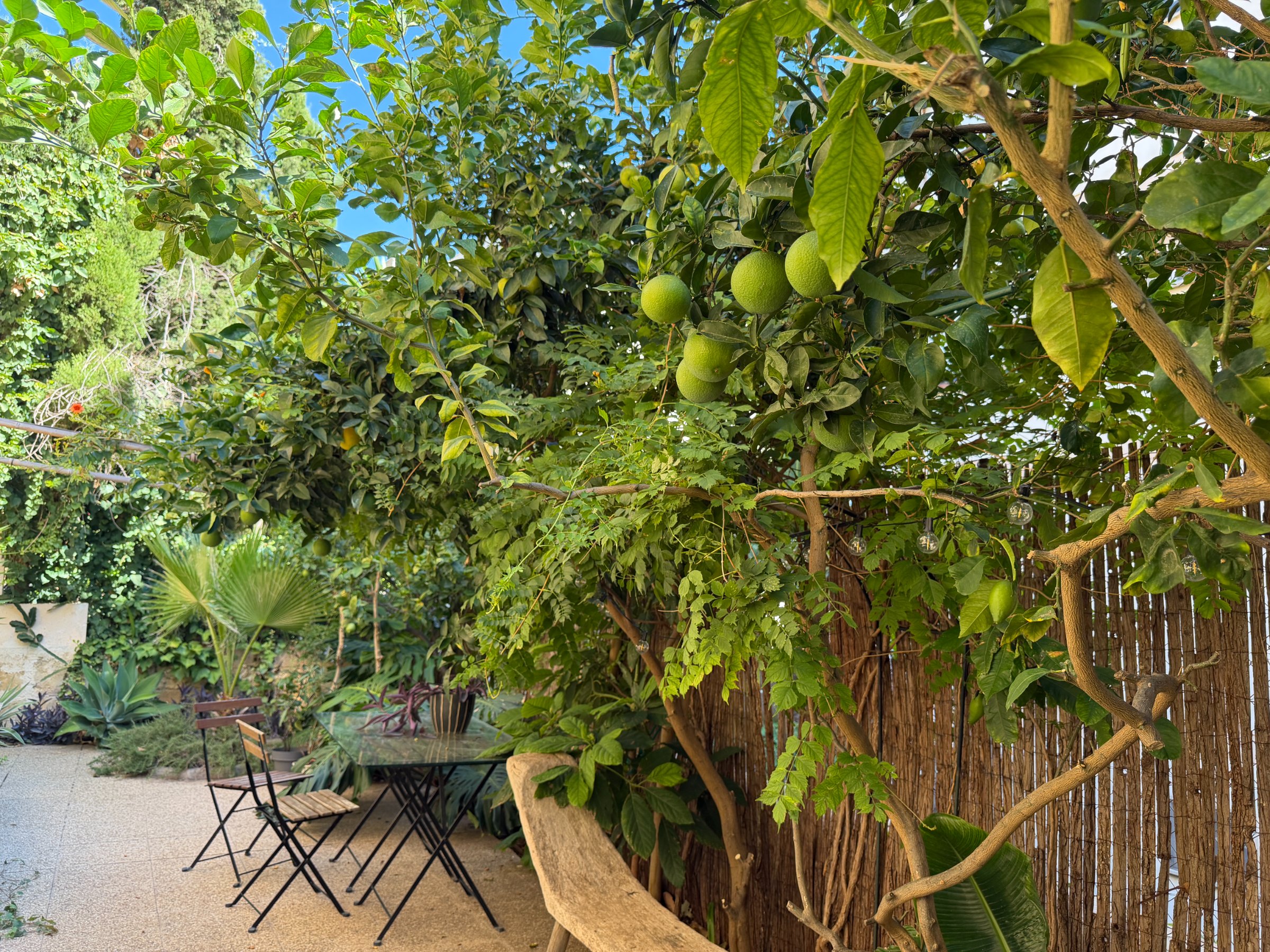 Charming Duplex Living in La Bonanova