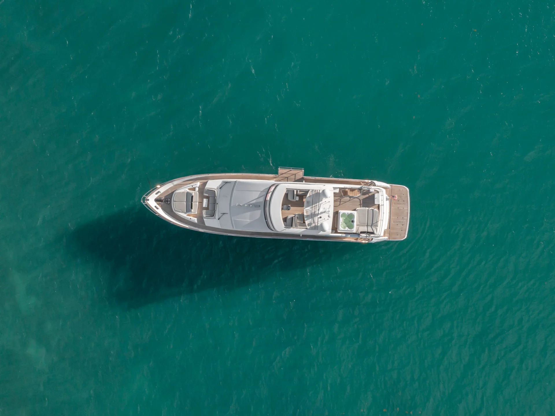 FREEDOM | Princess 88 - Princess