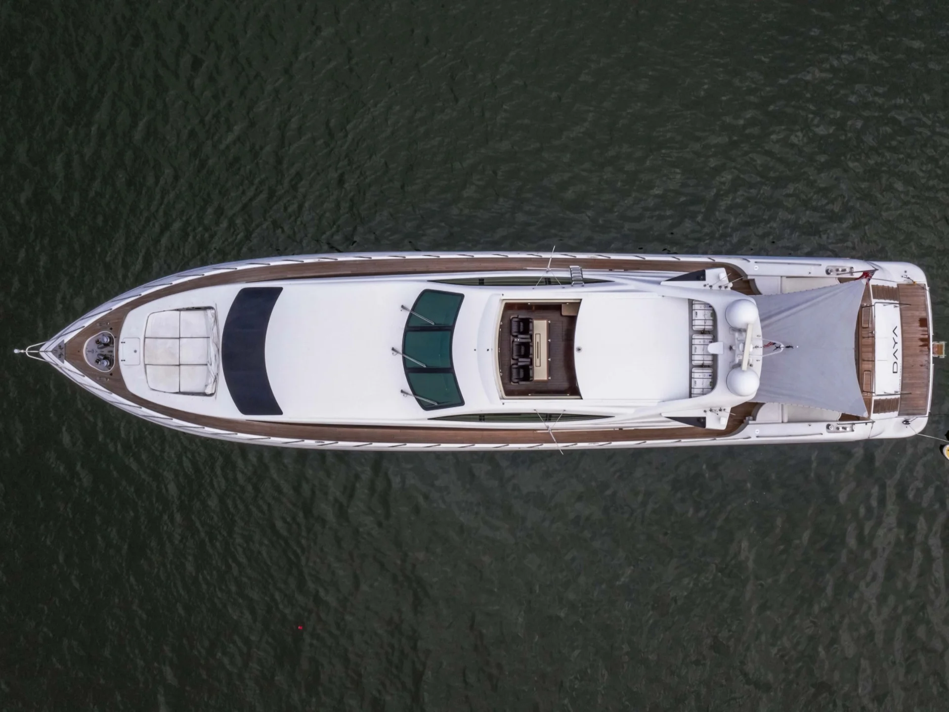 DAYA | Mangusta 105 - Mangusta