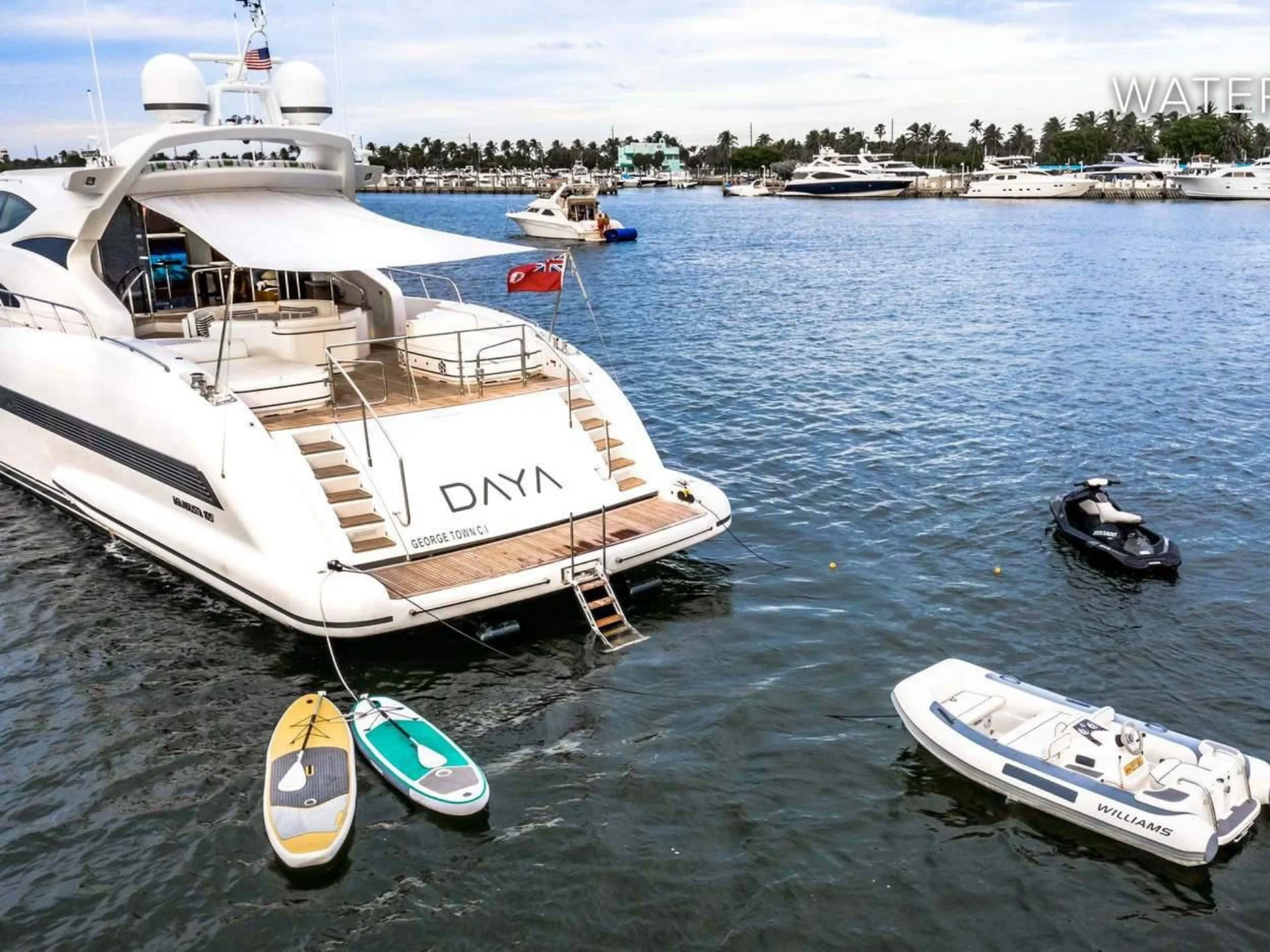 DAYA | Mangusta 105 - Mangusta