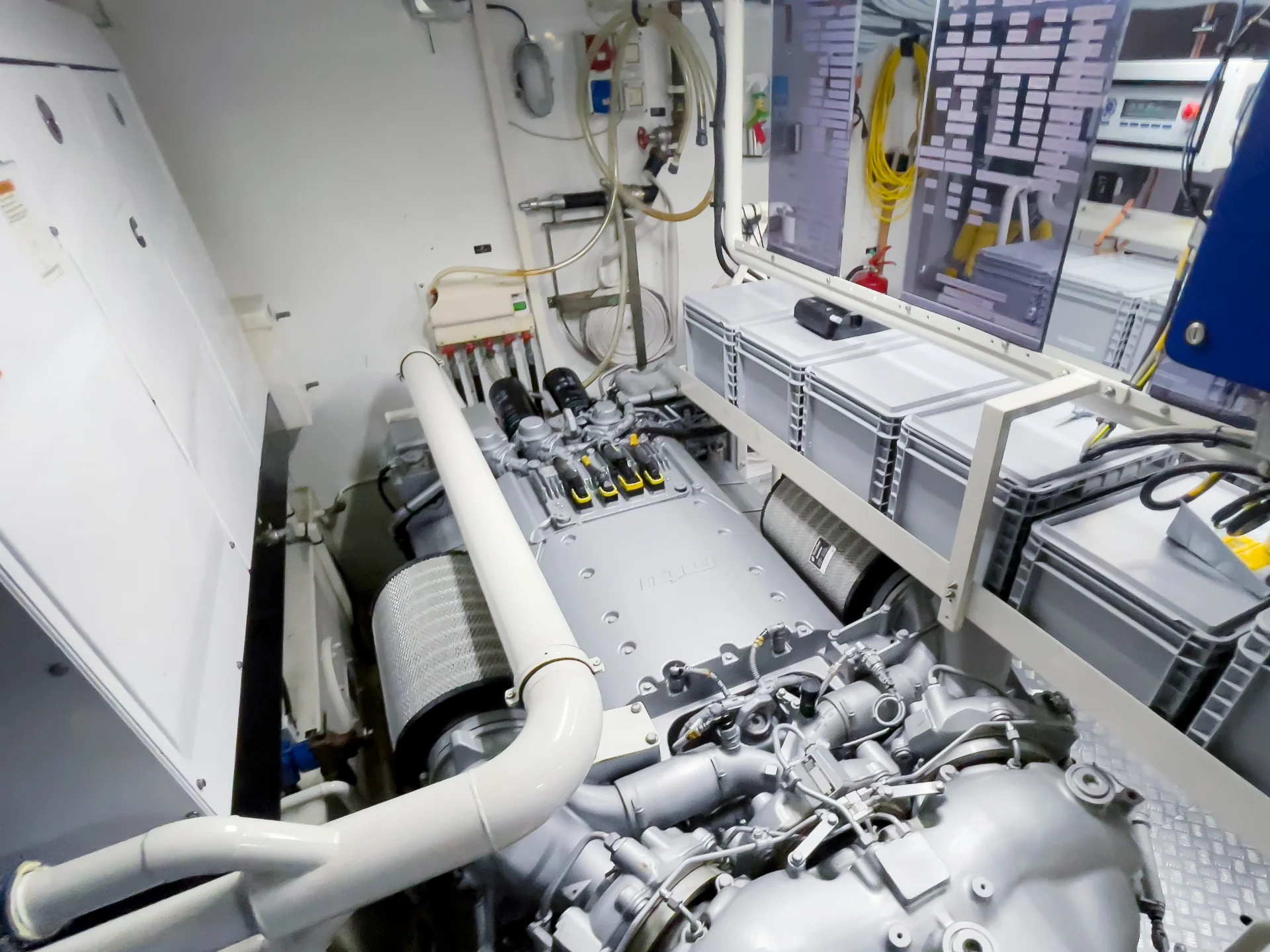 CASUAL | Dominator 100 - Dominator