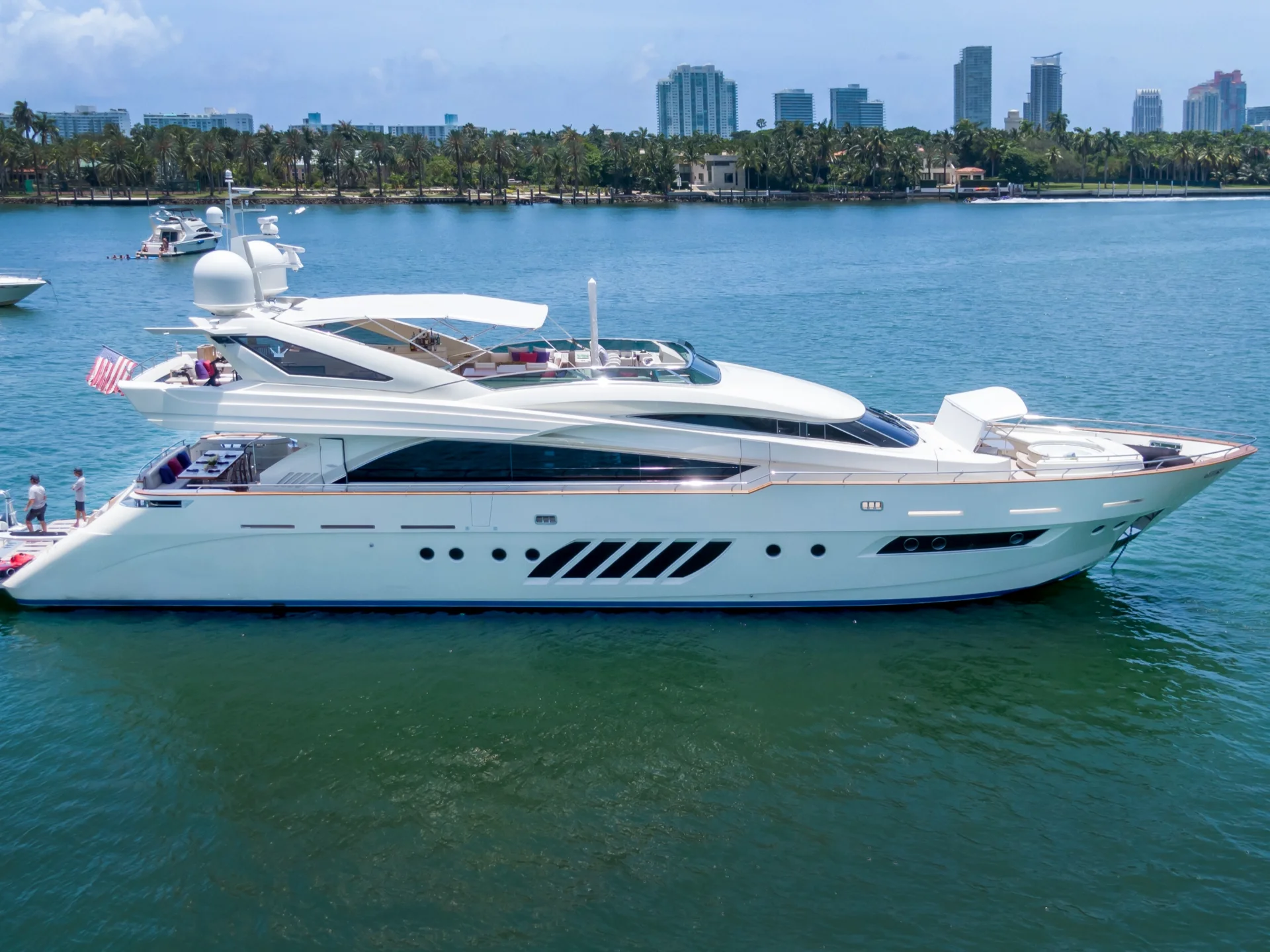 CASUAL | Dominator 100 - Dominator