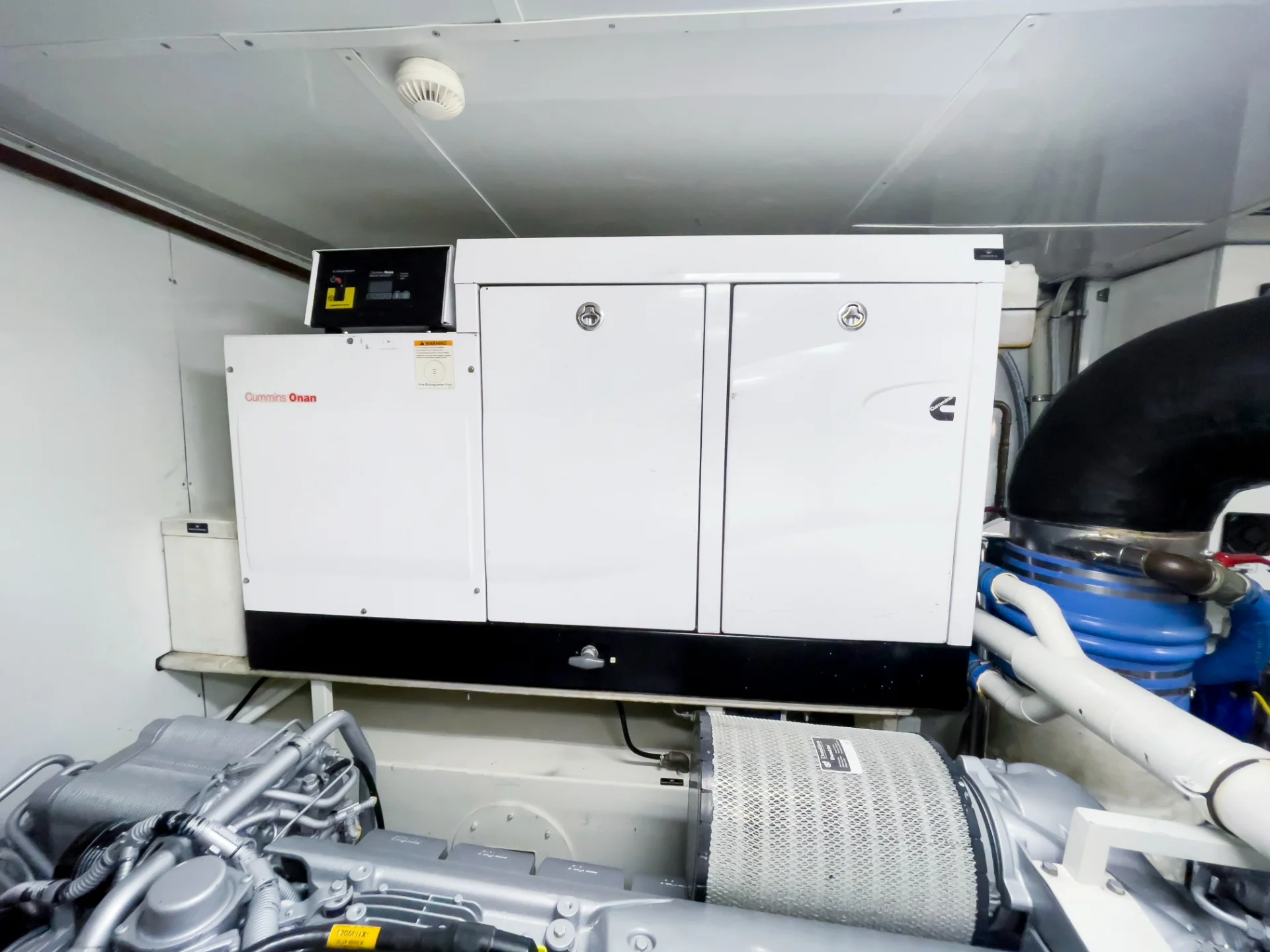 CASUAL | Dominator 100 - Dominator